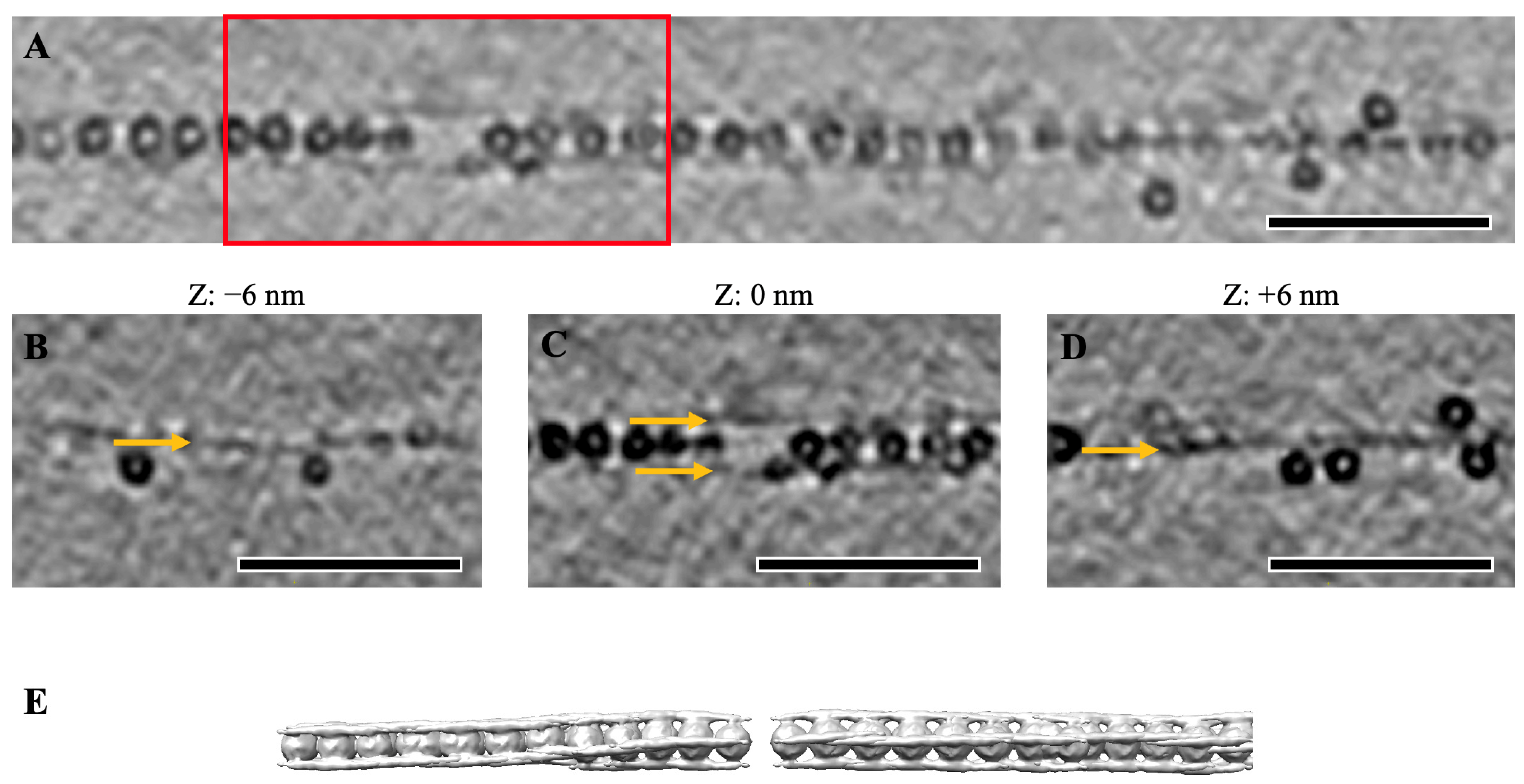 Ijms 24 08534 g0a1 Ijms 24 08534 g0a1