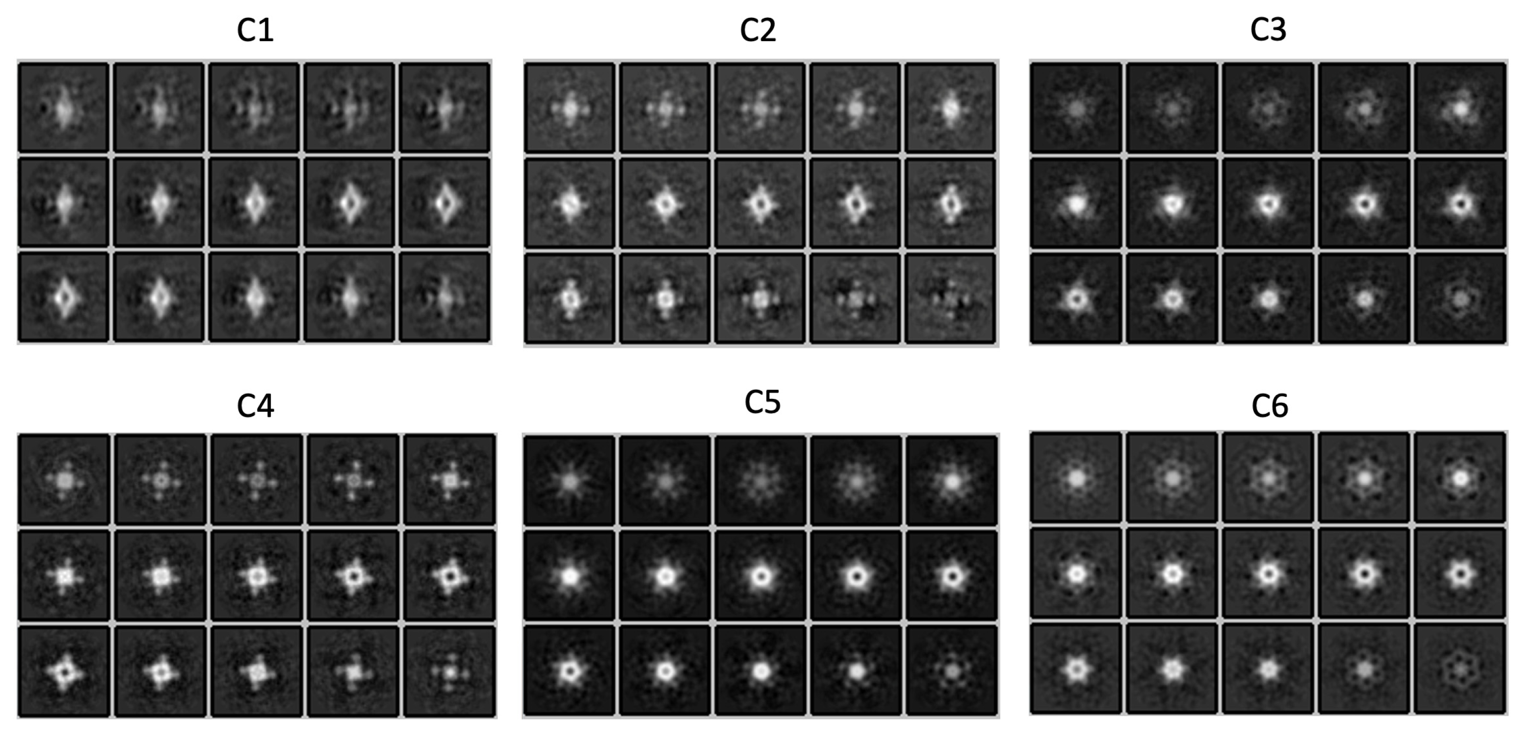 Ijms 24 08534 g0a2 Ijms 24 08534 g0a2