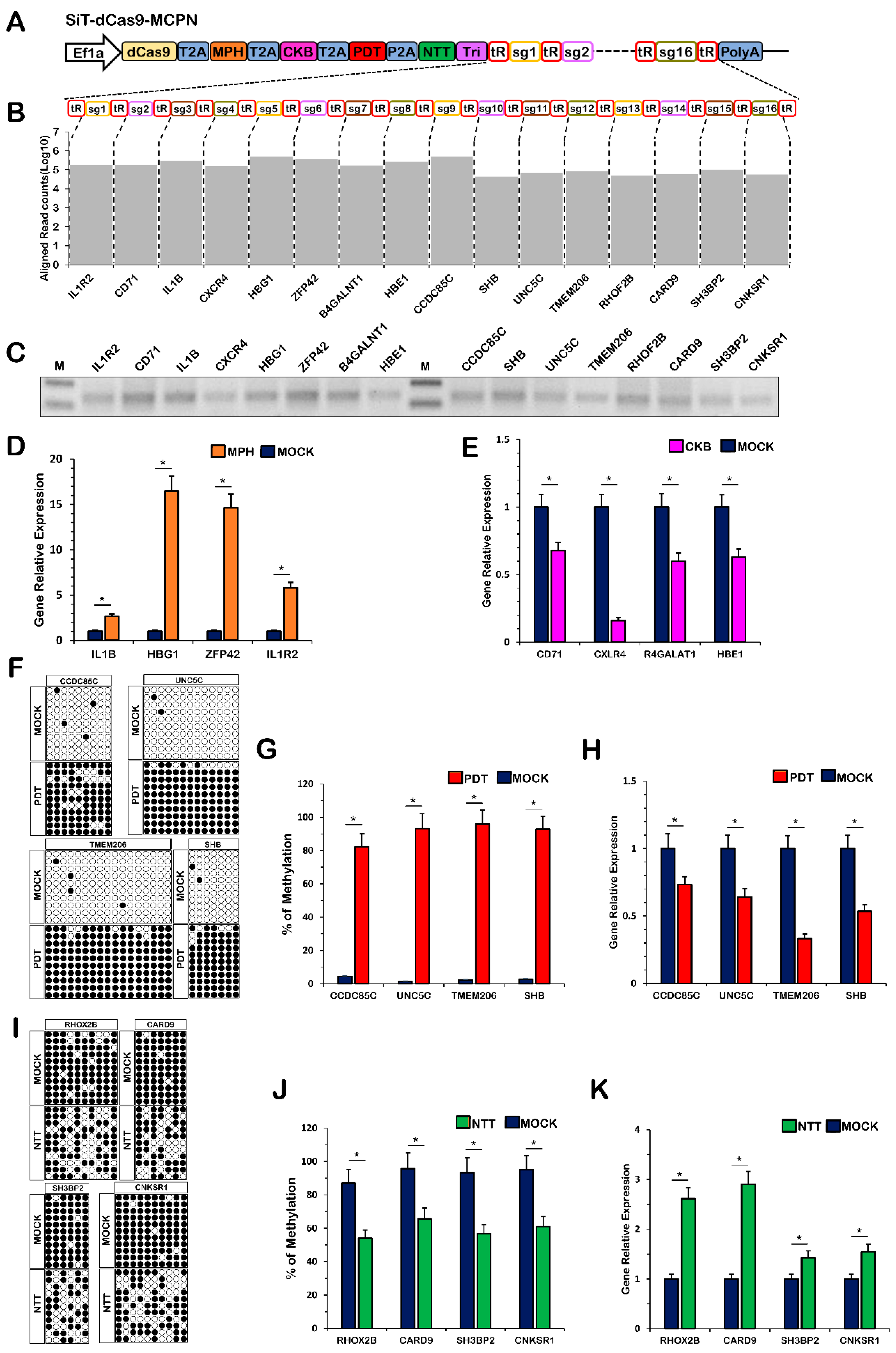 Ijms 24 08535 g005 Ijms 24 08535 g005