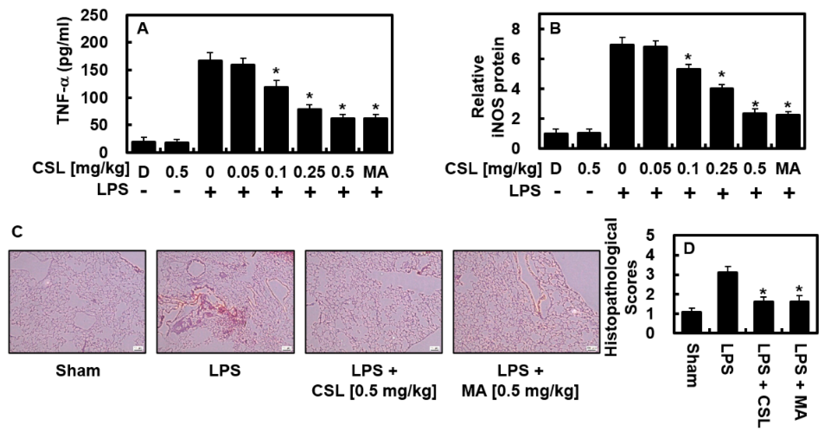 Ijms 24 08537 g004 Ijms 24 08537 g004