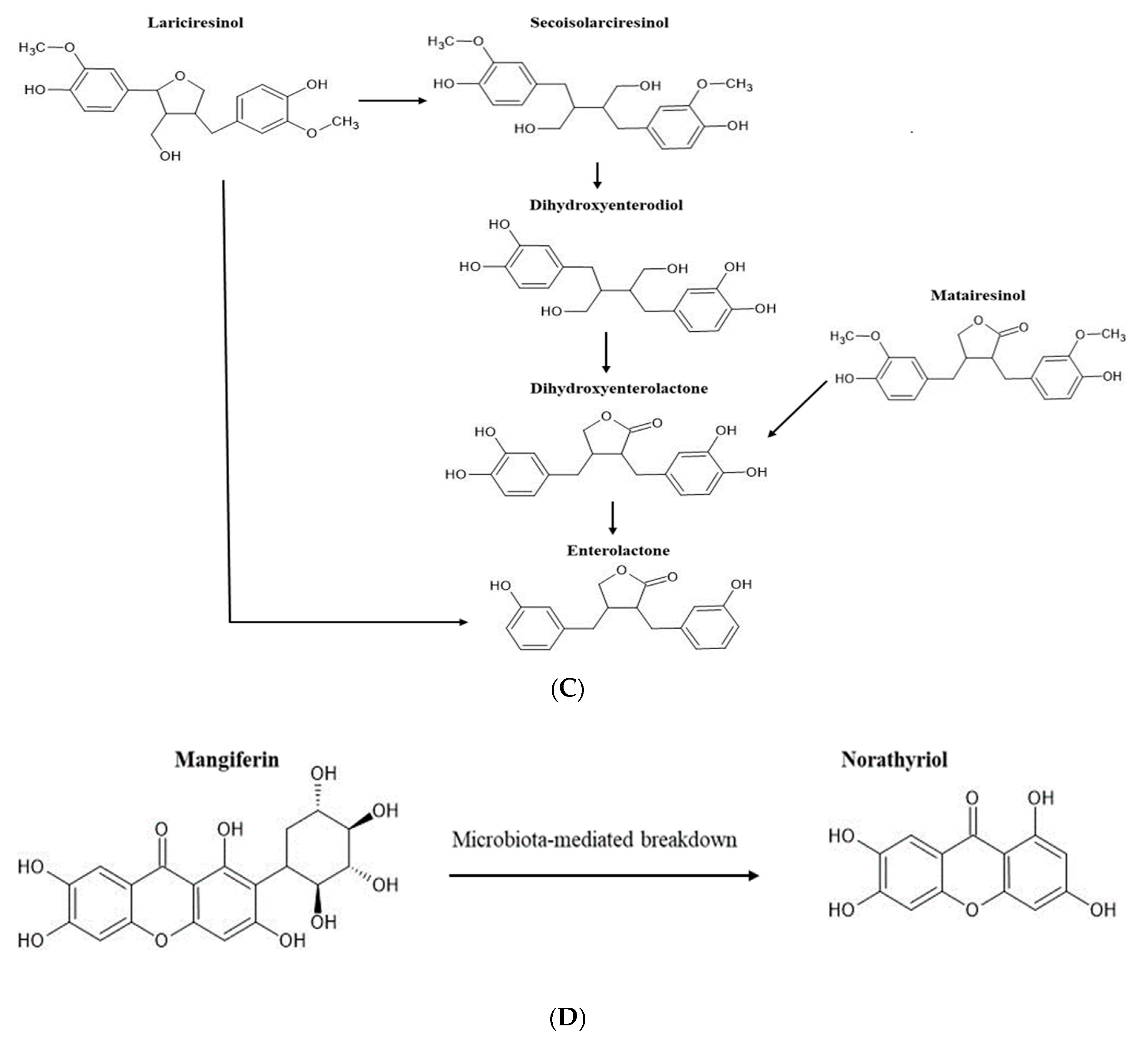 Ijms 24 08560 g001b Ijms 24 08560 g001b