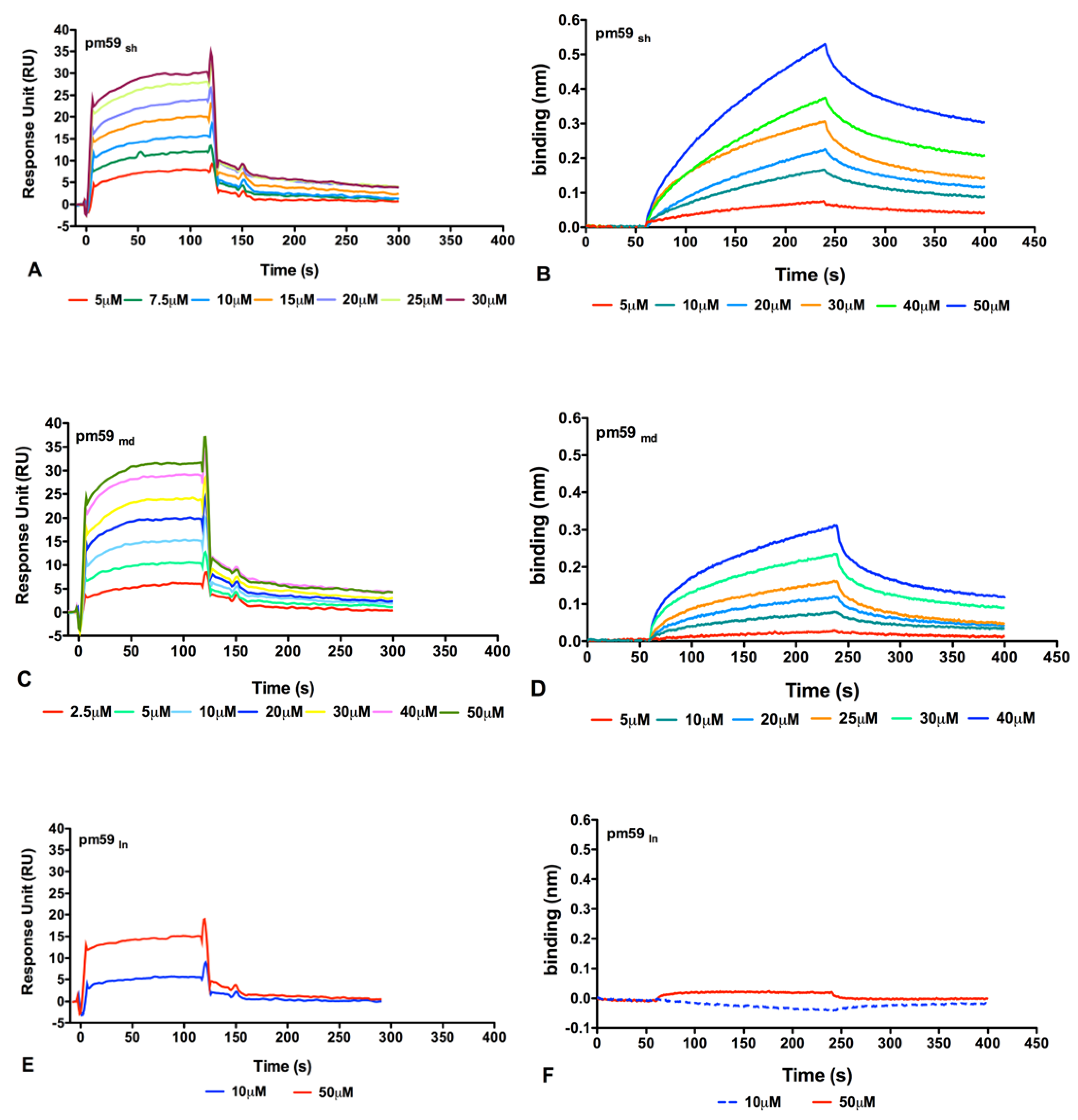 Ijms 24 08561 g005 Ijms 24 08561 g005