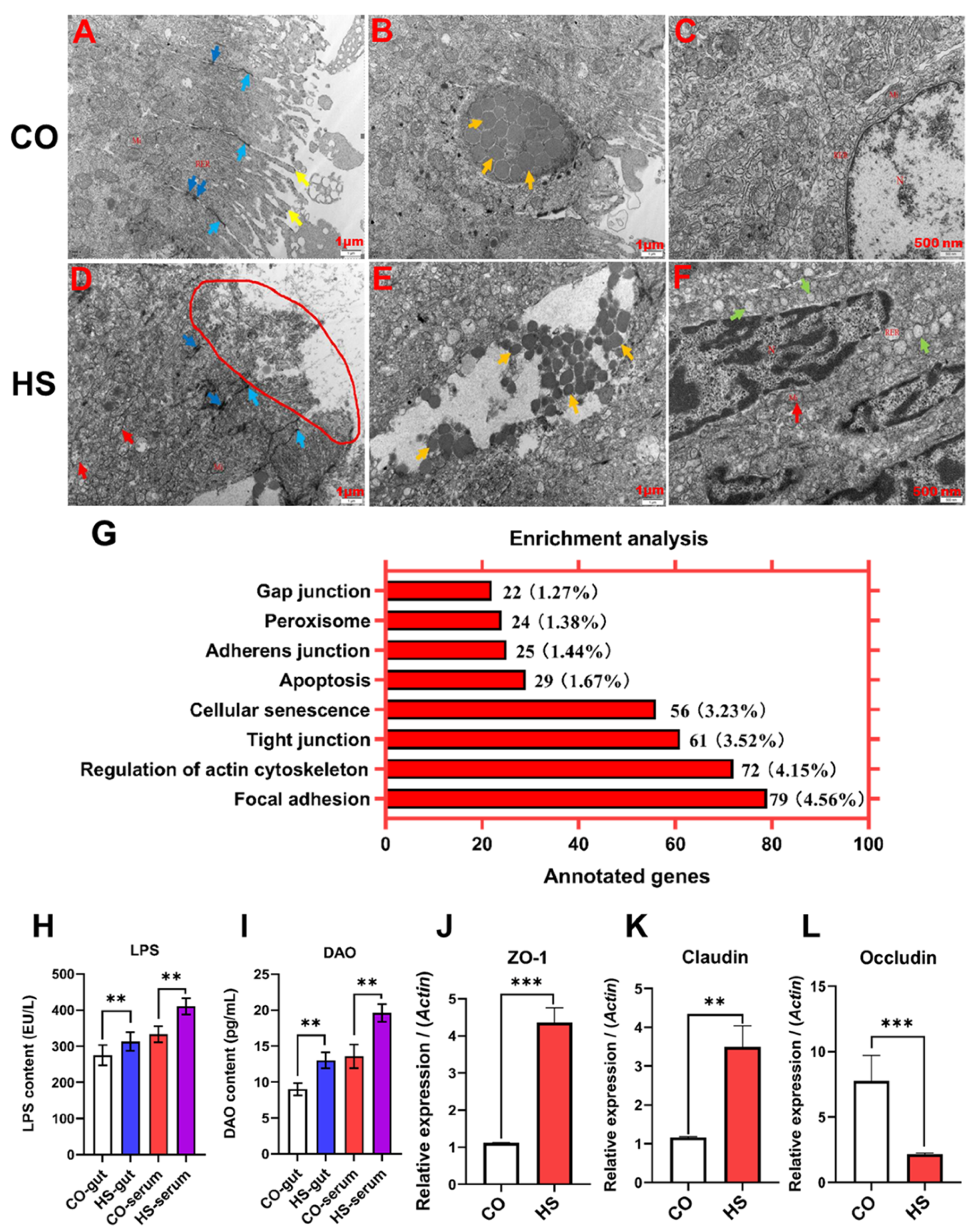Ijms 24 08569 g002 Ijms 24 08569 g002