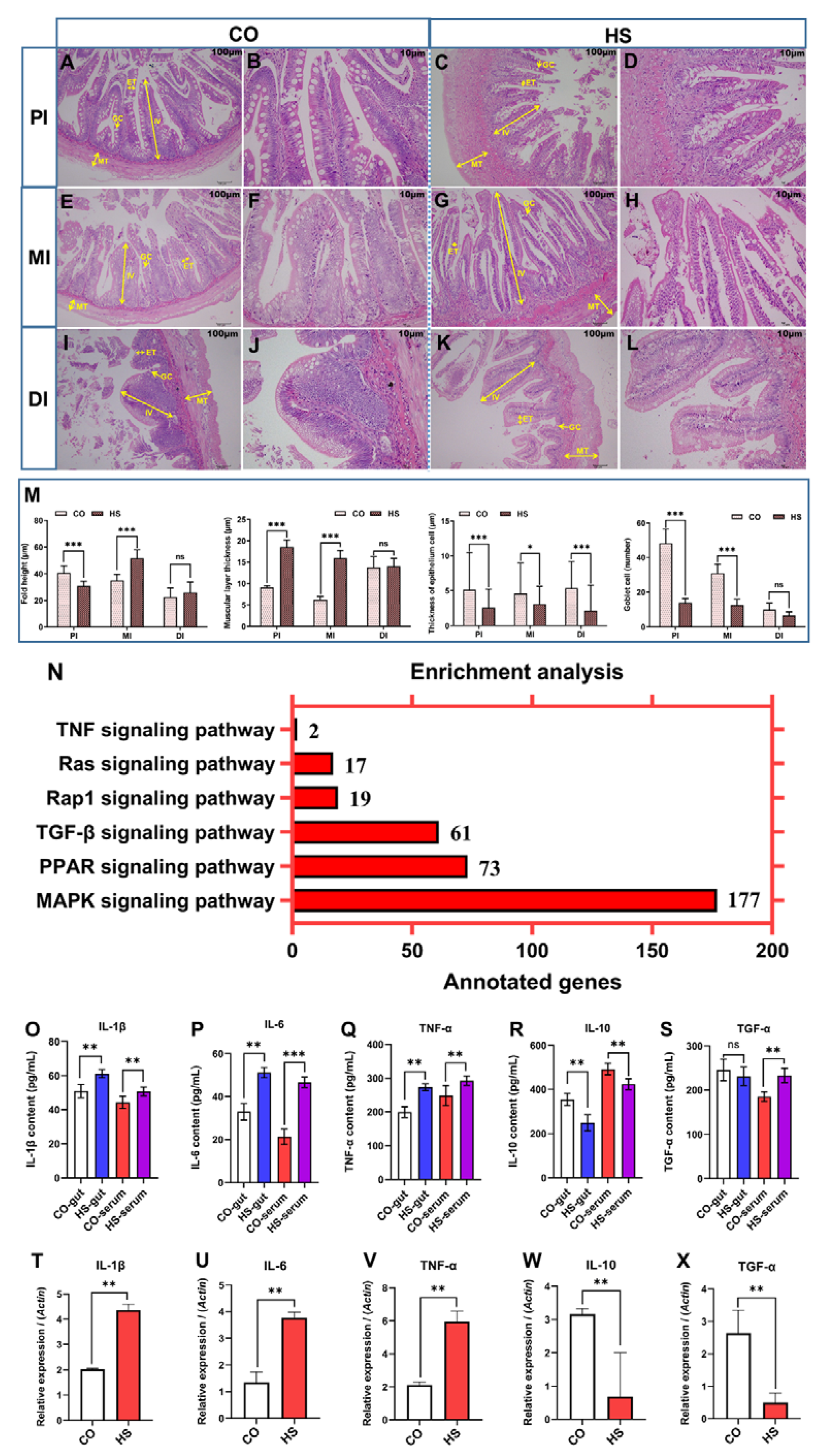 Ijms 24 08569 g003 Ijms 24 08569 g003