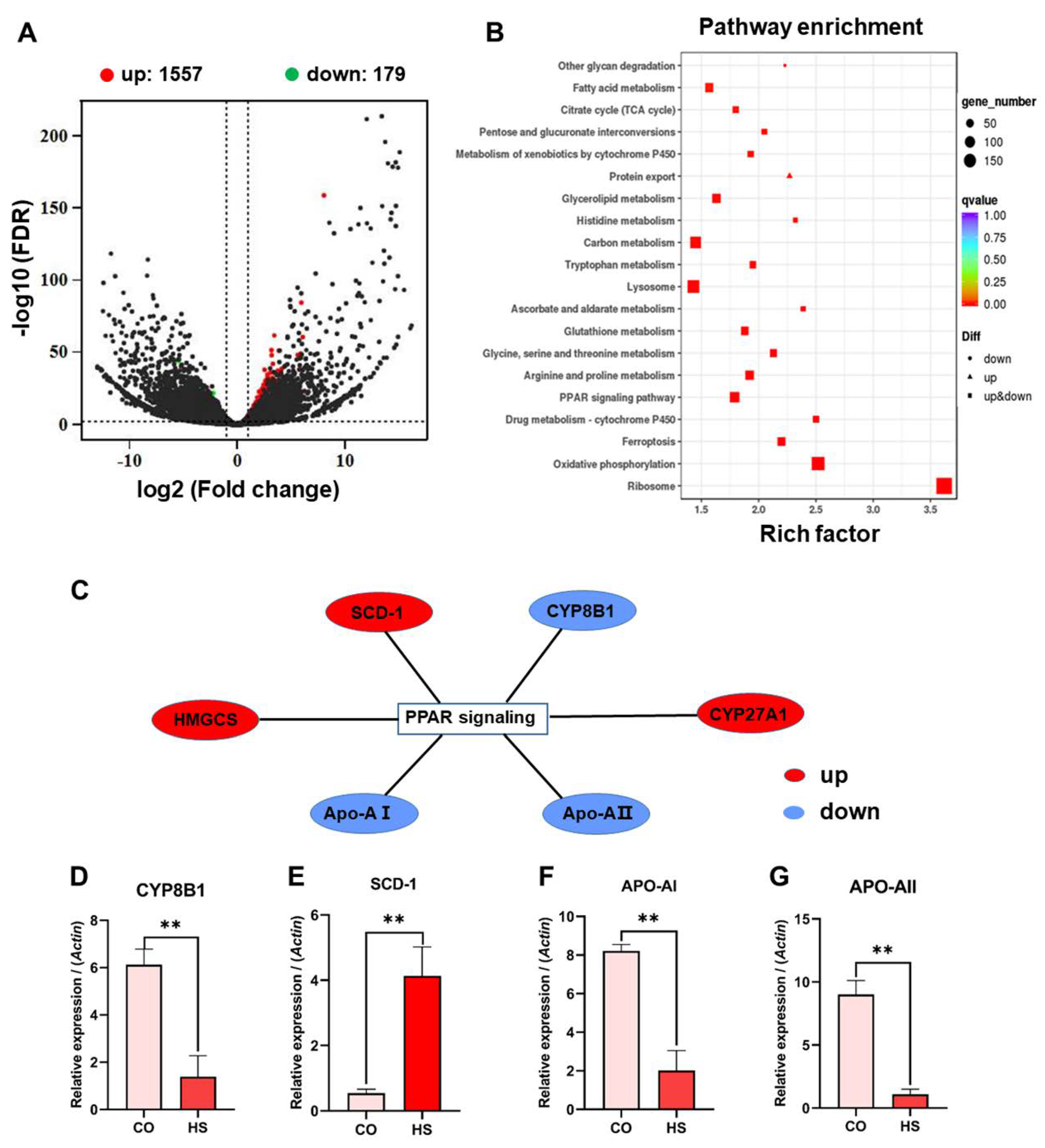 Ijms 24 08569 g006 Ijms 24 08569 g006