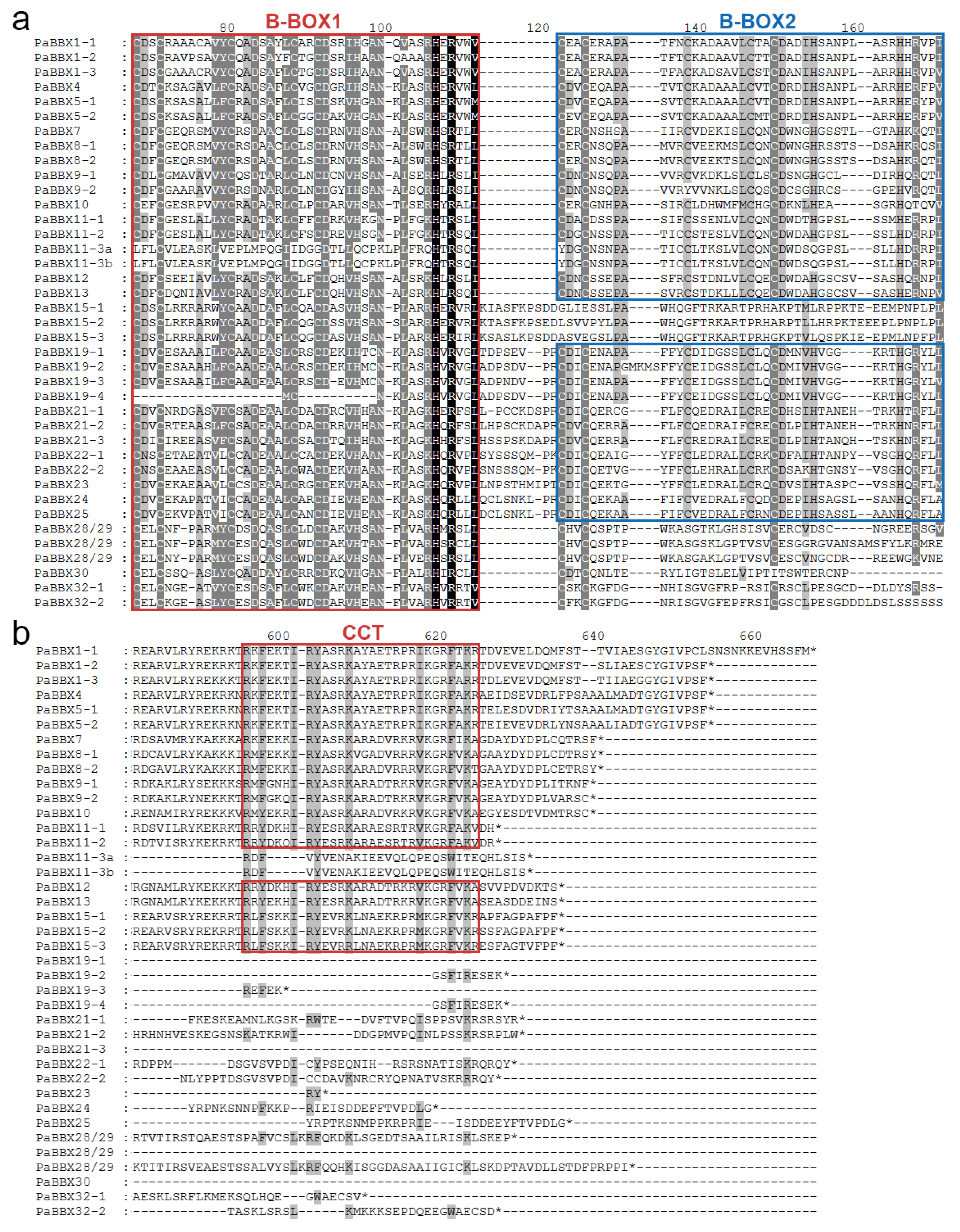 Ijms 24 08576 g003 Ijms 24 08576 g003