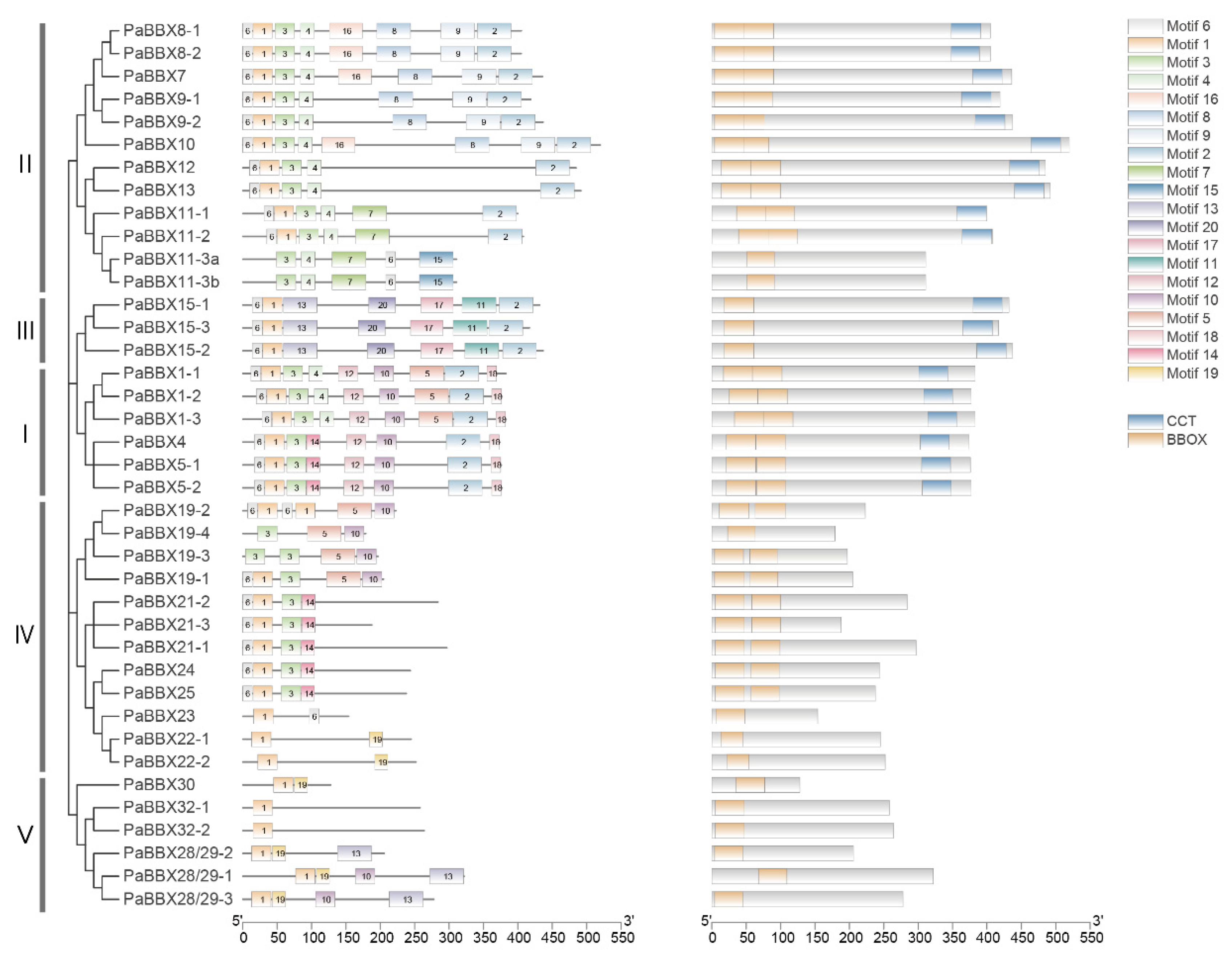 Ijms 24 08576 g005 Ijms 24 08576 g005
