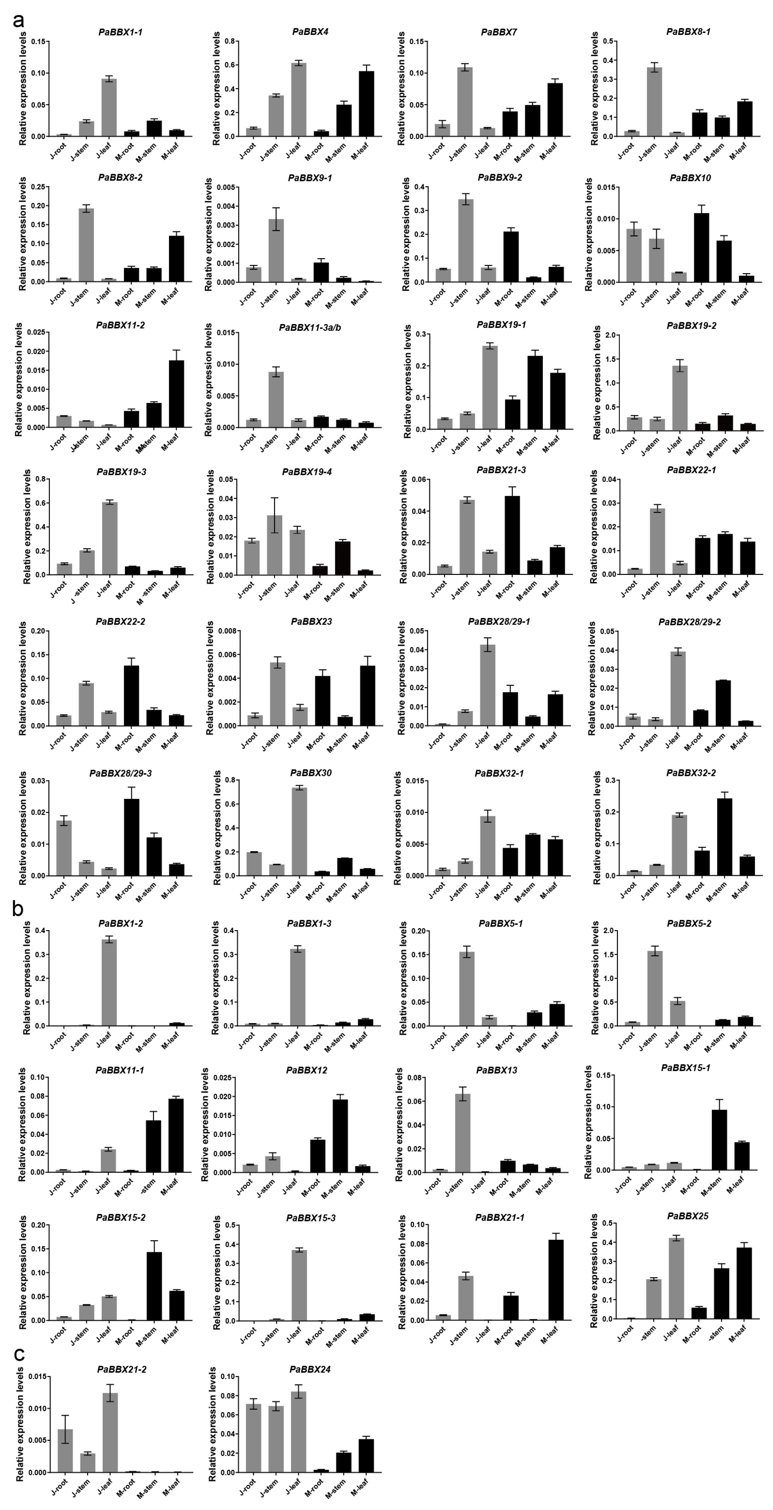 Ijms 24 08576 g006 Ijms 24 08576 g006