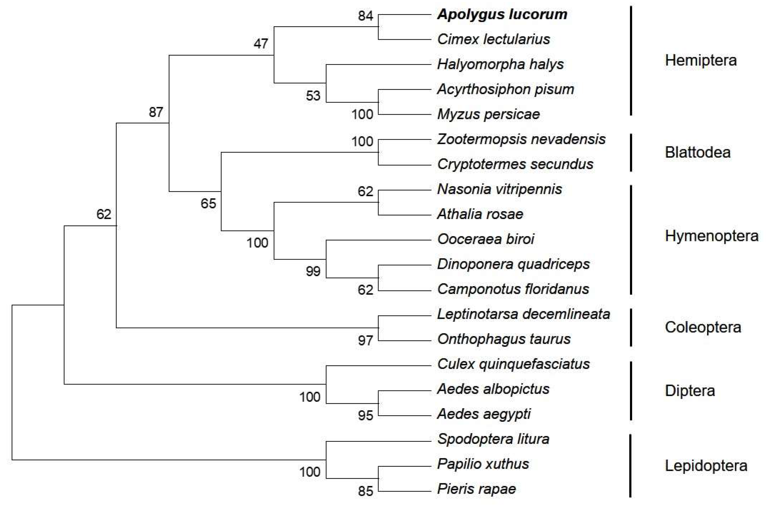 Ijms 24 08587 g002 Ijms 24 08587 g002