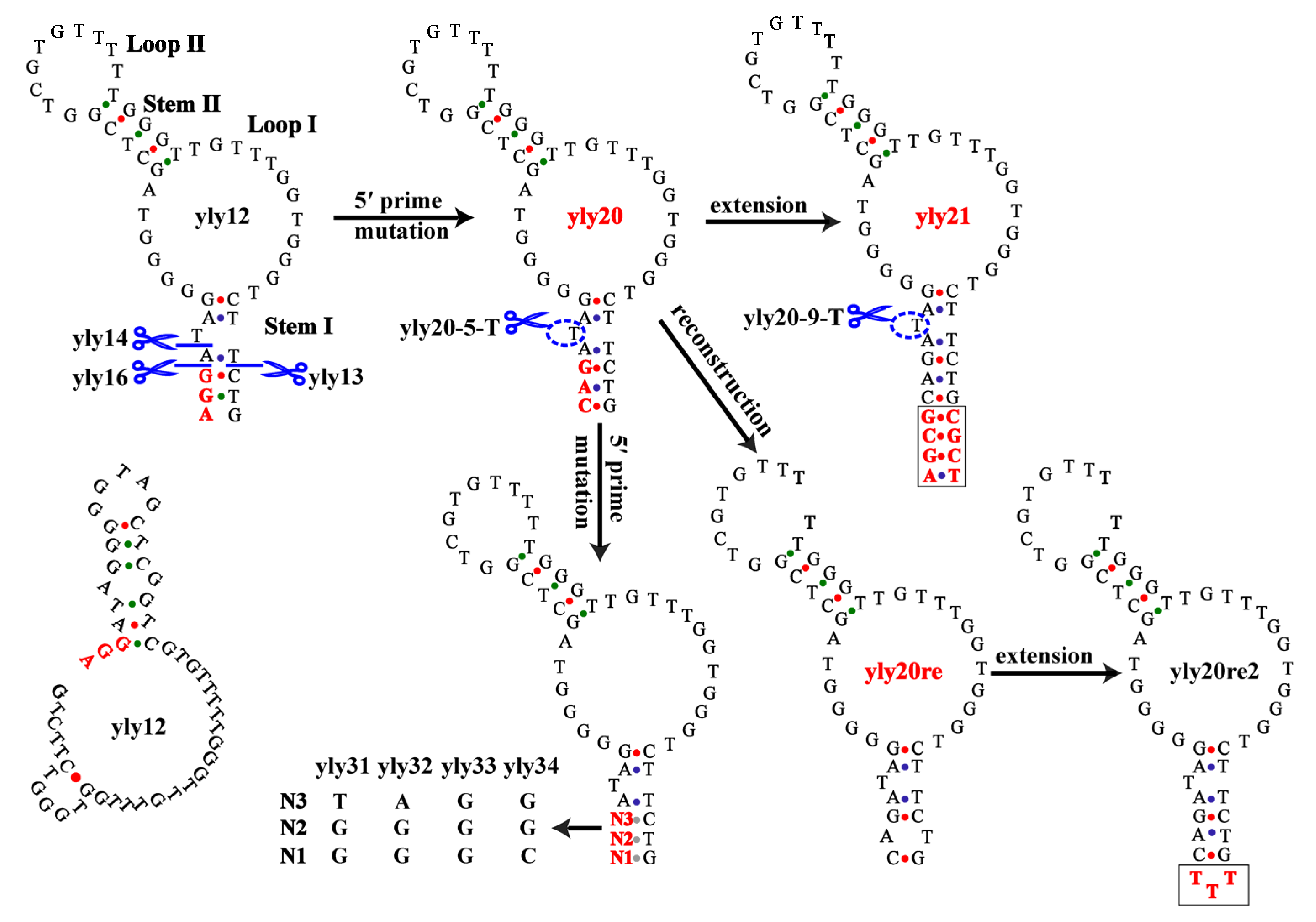 Ijms 24 08612 g001 Ijms 24 08612 g001