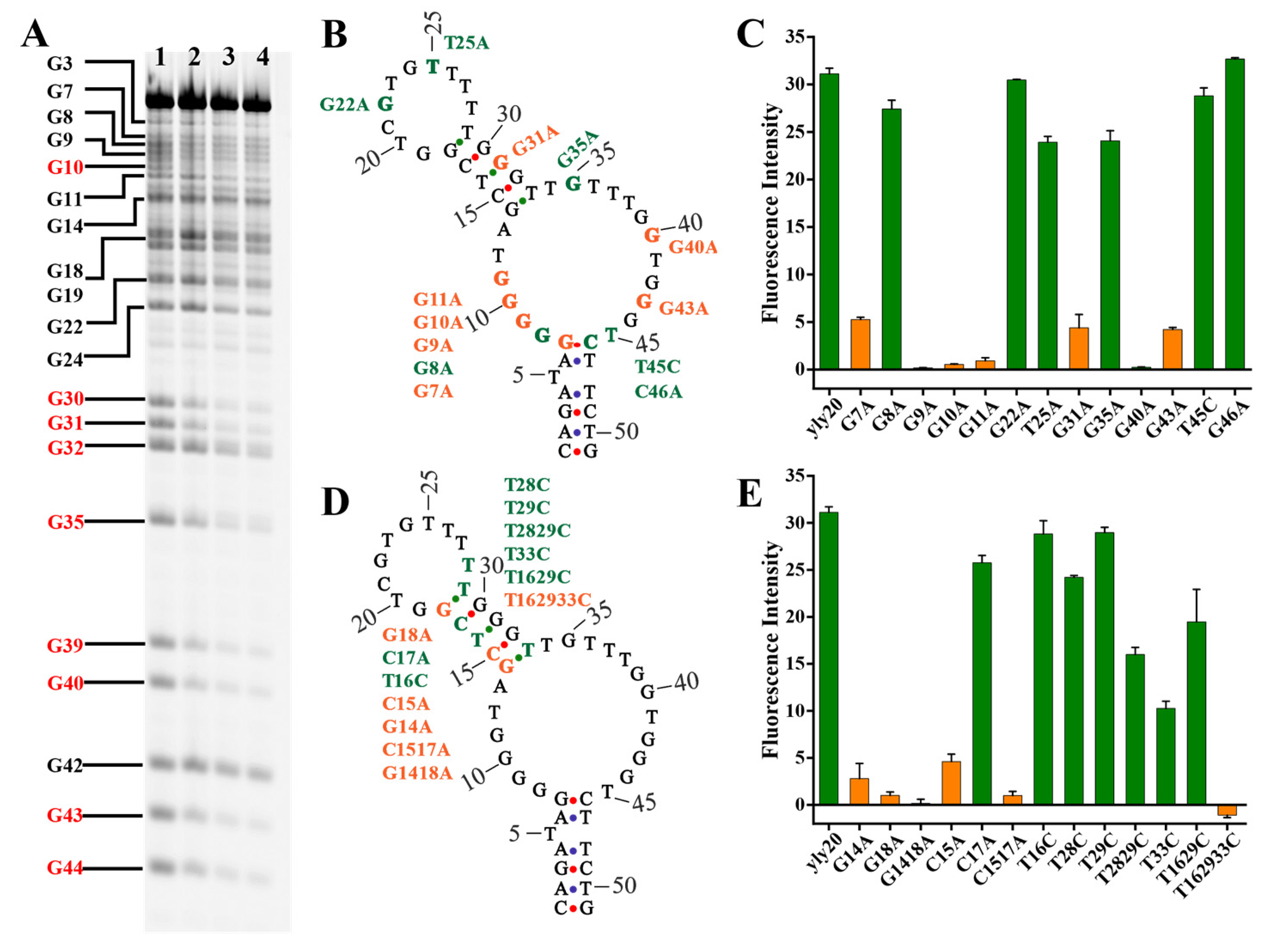 Ijms 24 08612 g003 Ijms 24 08612 g003