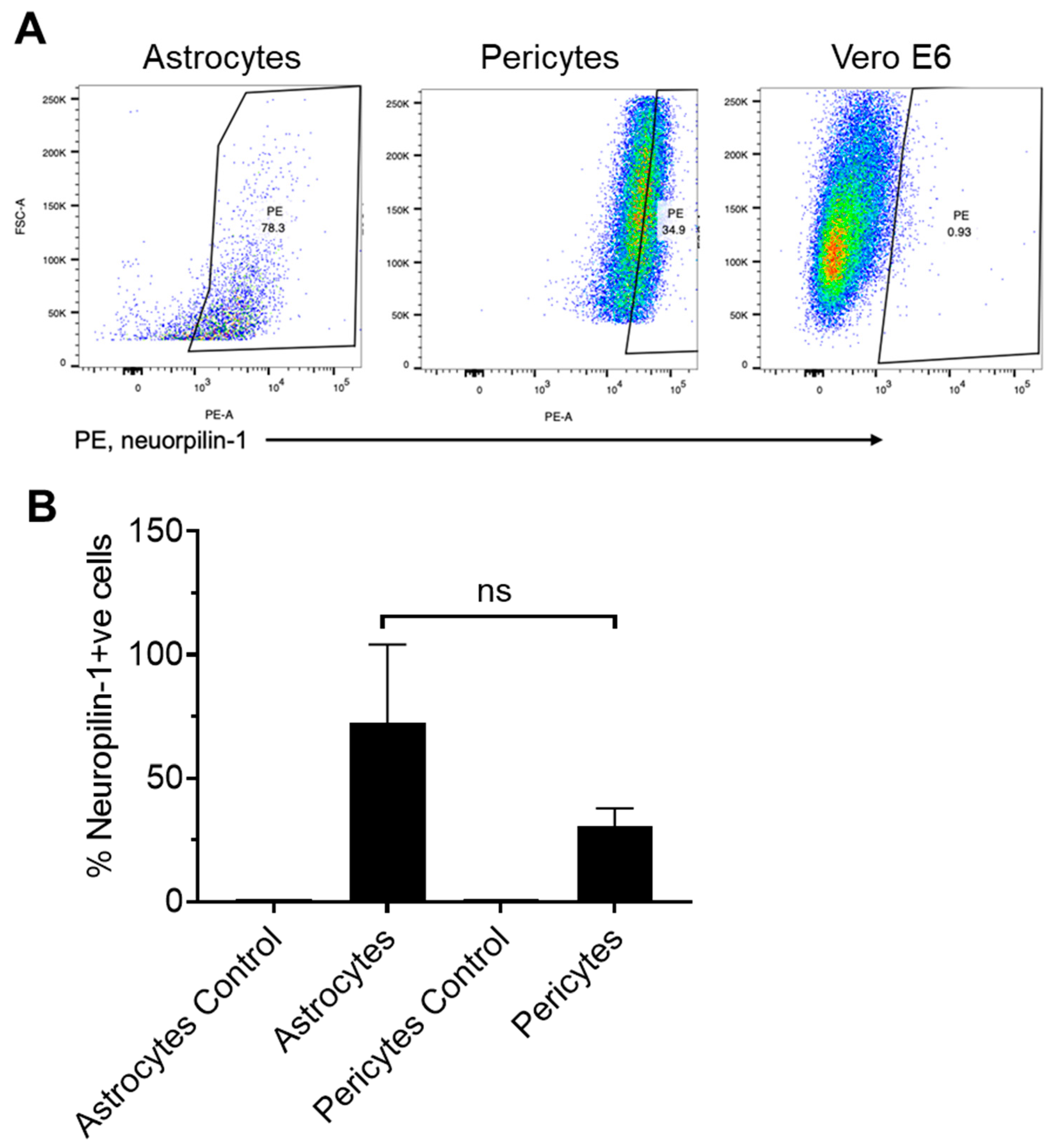Ijms 24 08622 g003 Ijms 24 08622 g003