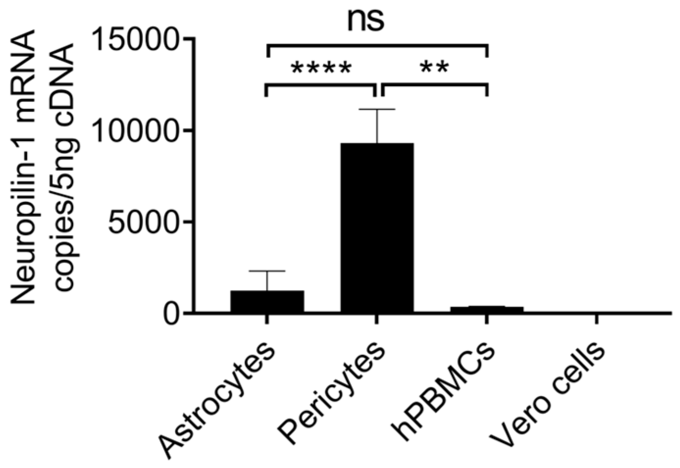 Ijms 24 08622 g004 Ijms 24 08622 g004