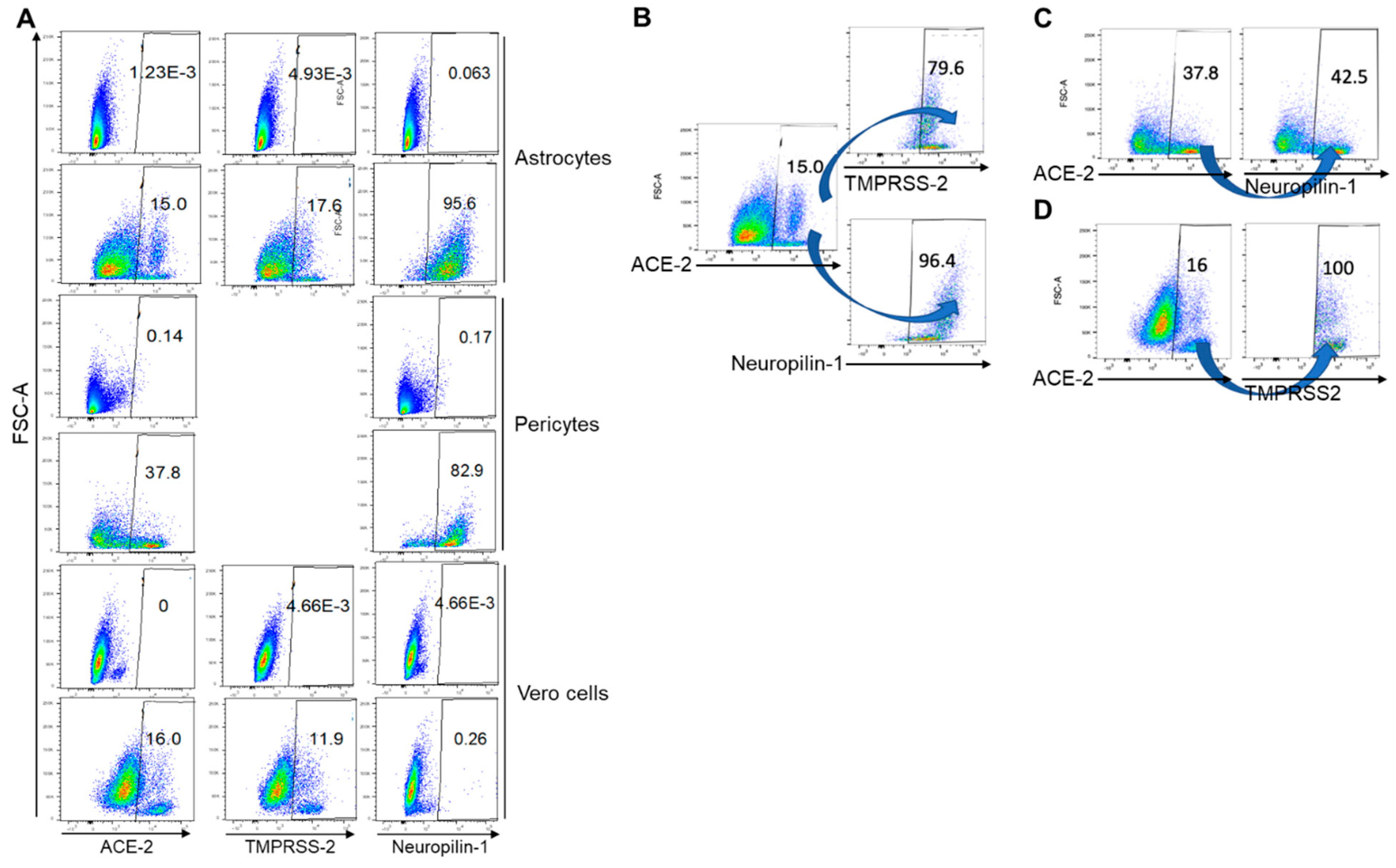 Ijms 24 08622 g005 Ijms 24 08622 g005