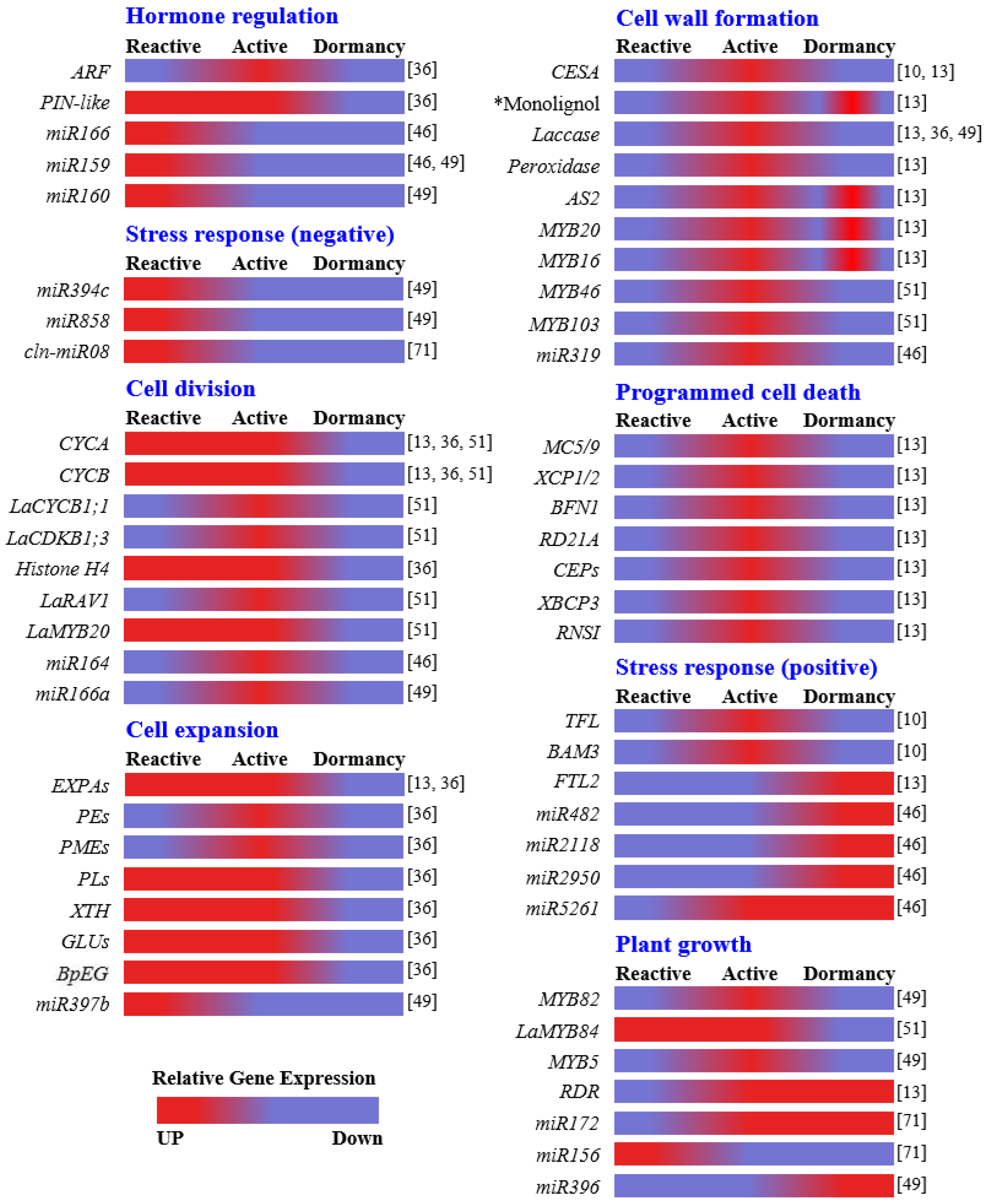 Exploring the Seasonal Dynamics and Molecular Mechanism of