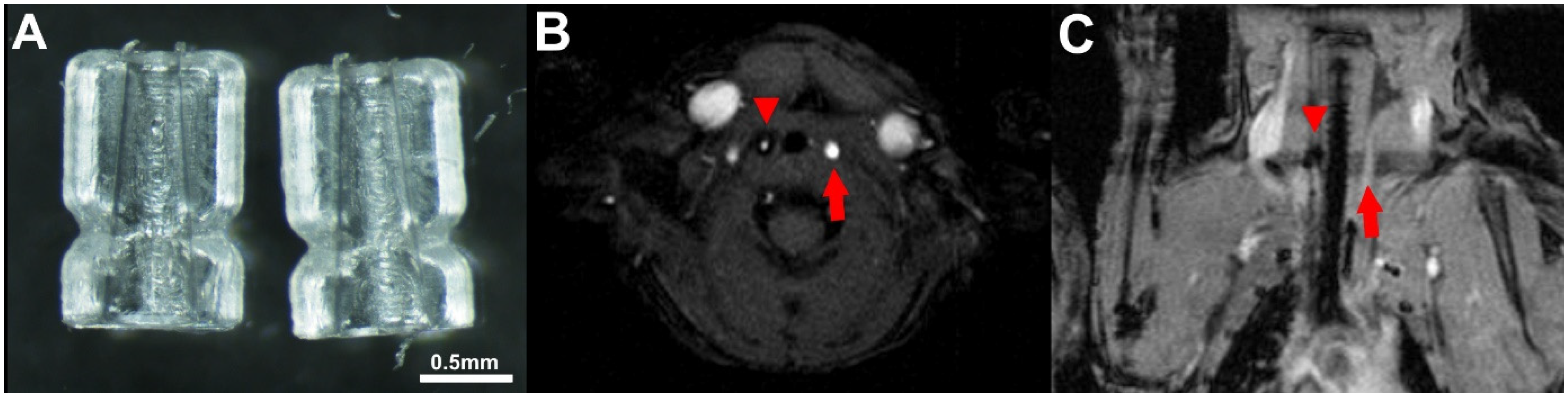 Ijms 24 08627 g005 Ijms 24 08627 g005