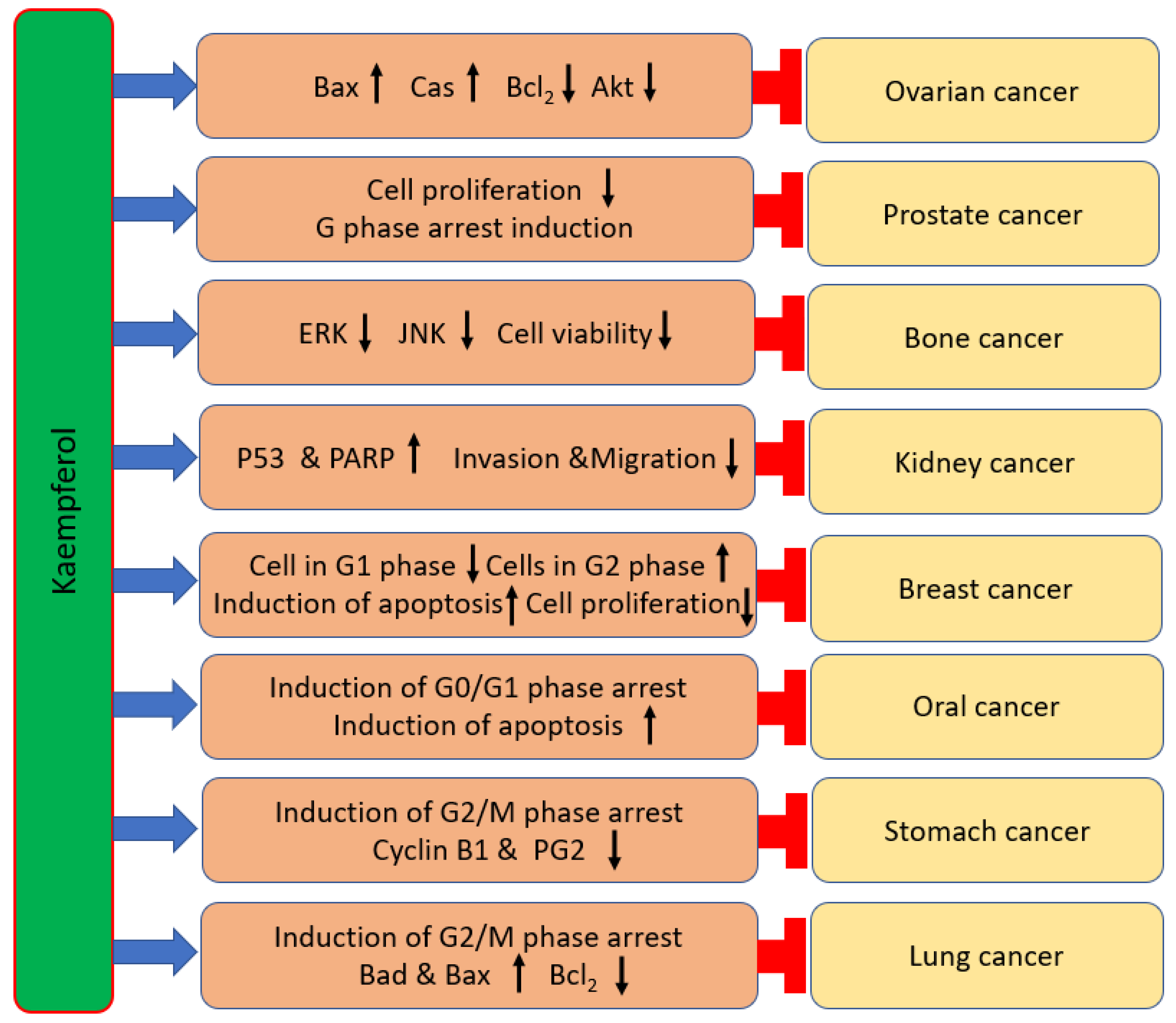 Ijms 24 08630 g003 Ijms 24 08630 g003
