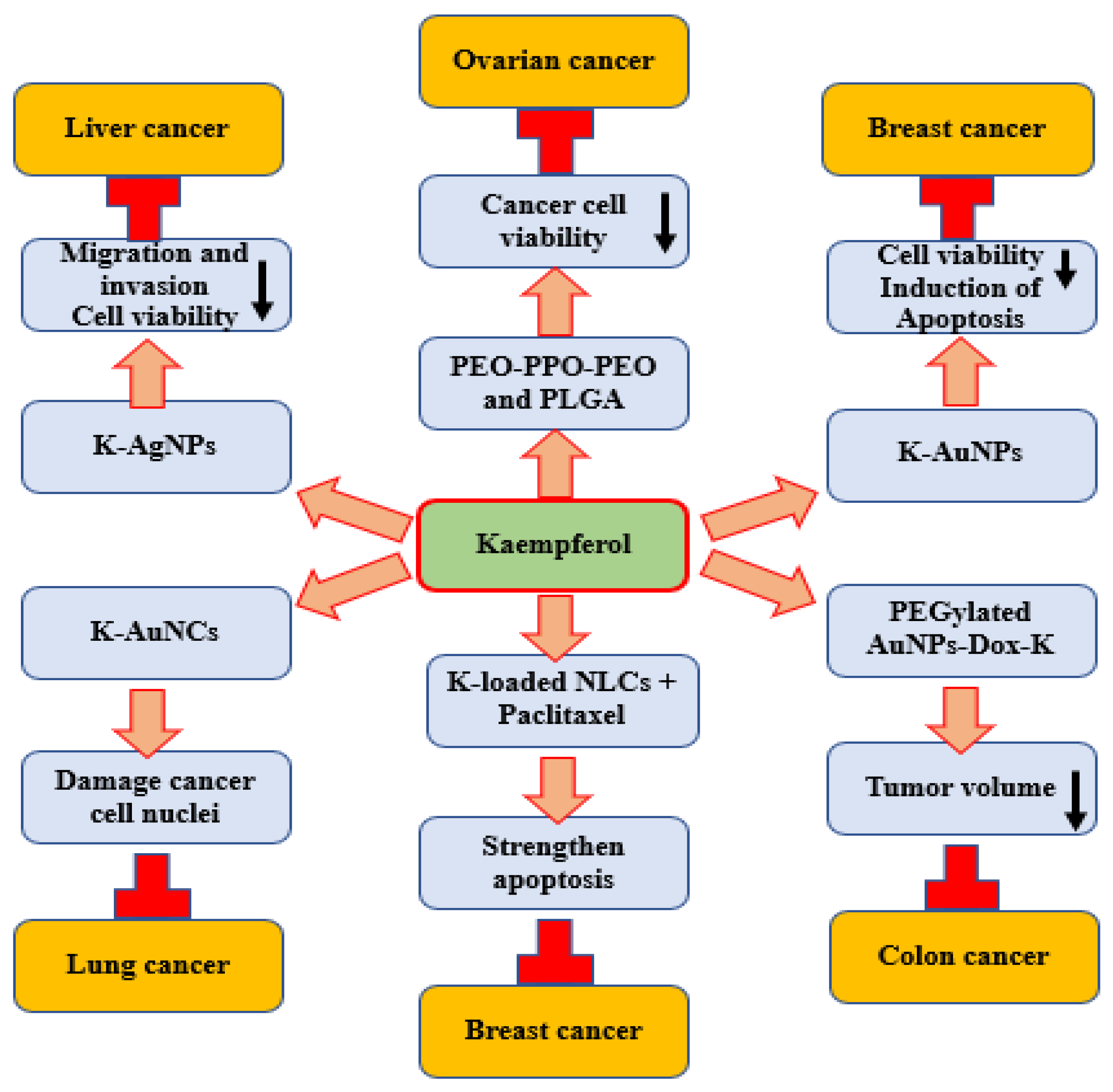 IJMS Free FullText Effects and Mechanisms of Kaempferol in the