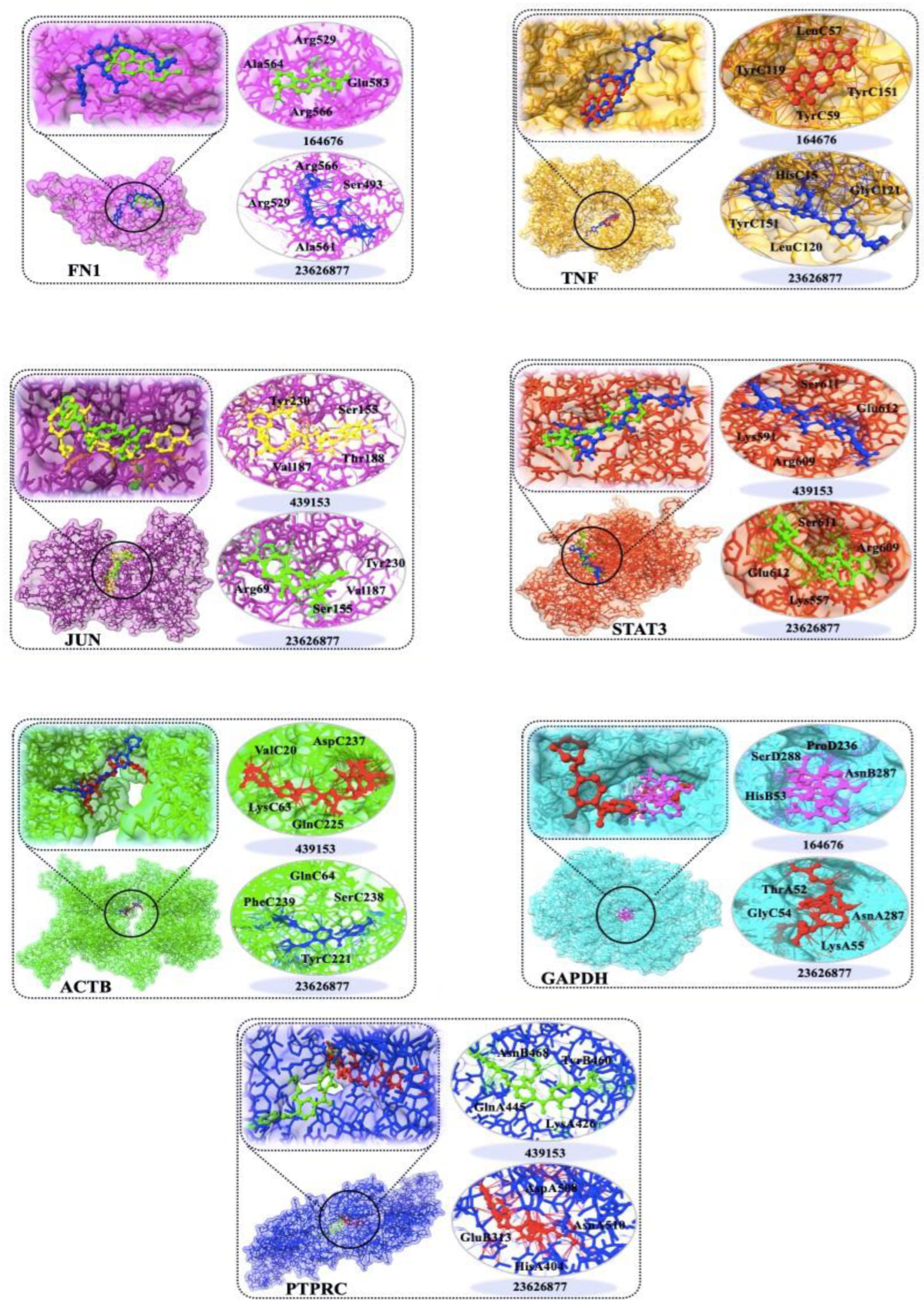 Ijms 24 08635 g007 Ijms 24 08635 g007