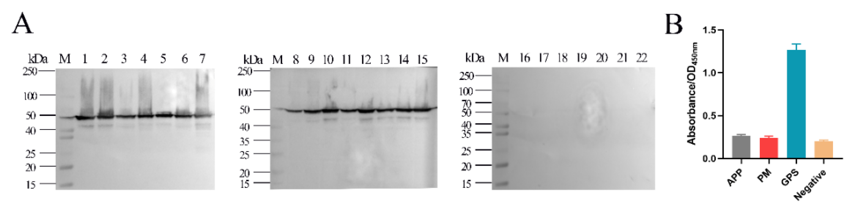 Ijms 24 08638 g006 Ijms 24 08638 g006