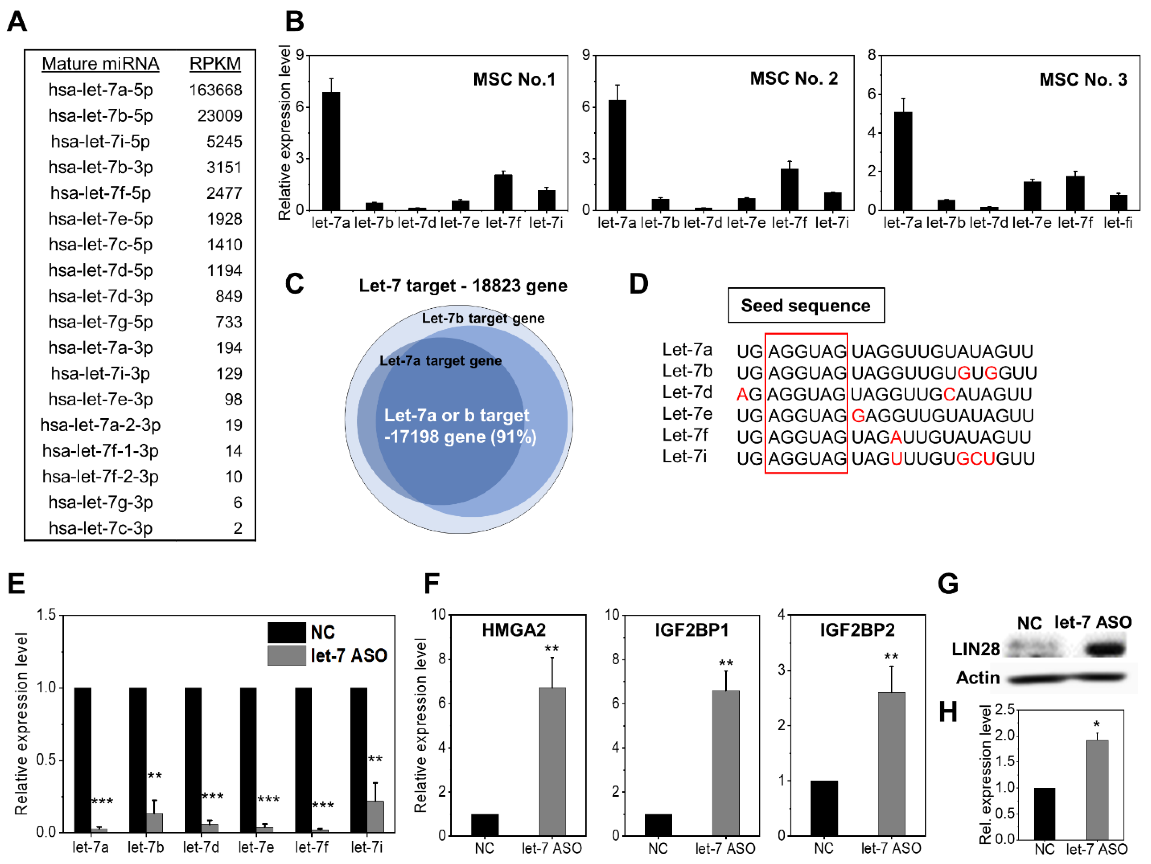 Ijms 24 08639 g001 Ijms 24 08639 g001