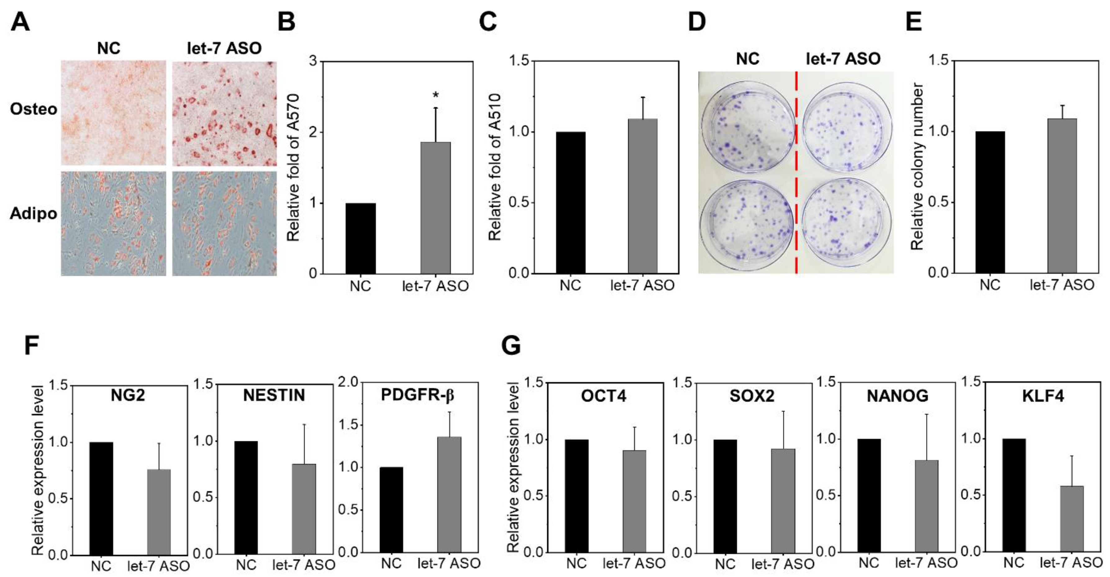 Ijms 24 08639 g003 Ijms 24 08639 g003