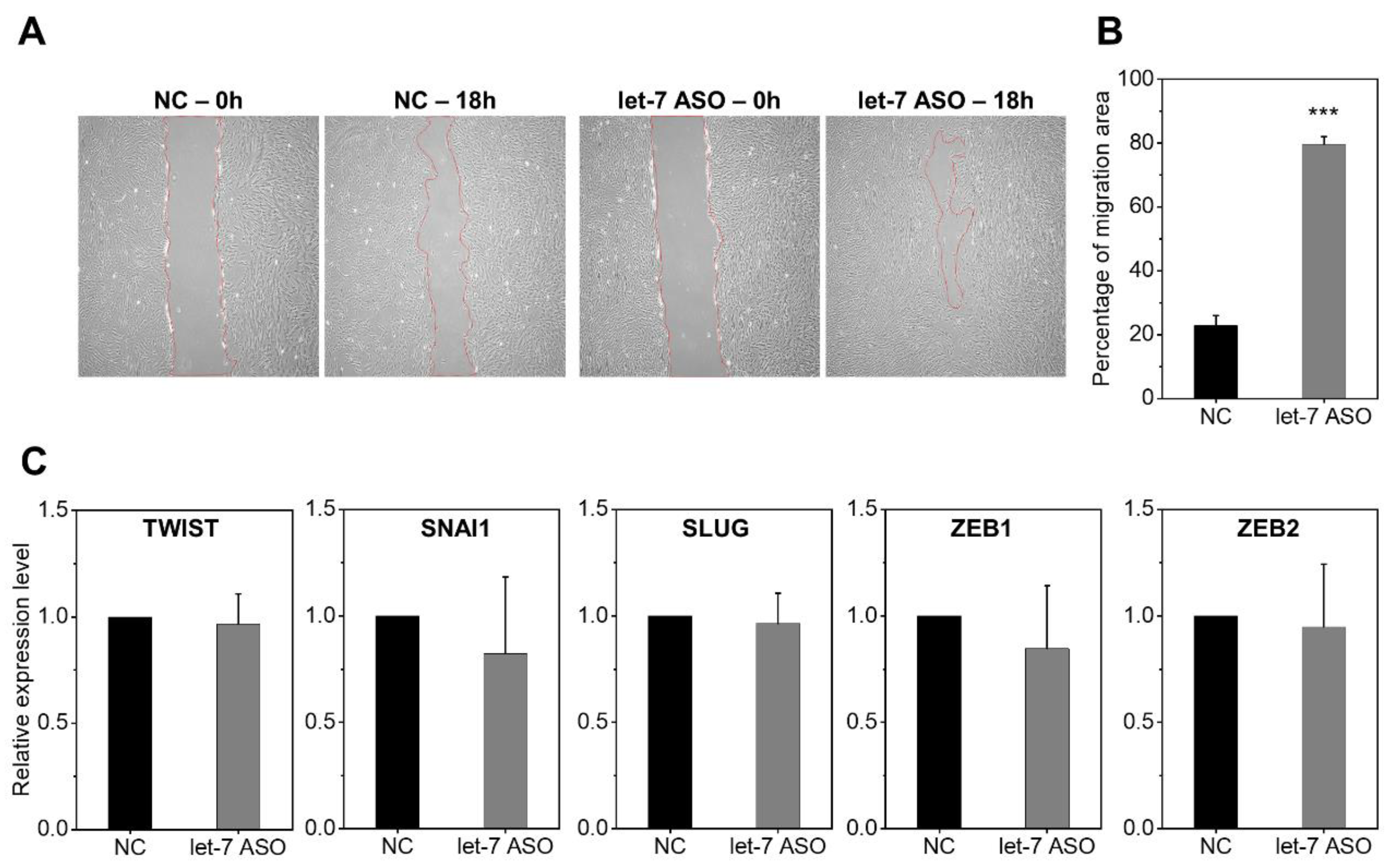 Ijms 24 08639 g004 Ijms 24 08639 g004