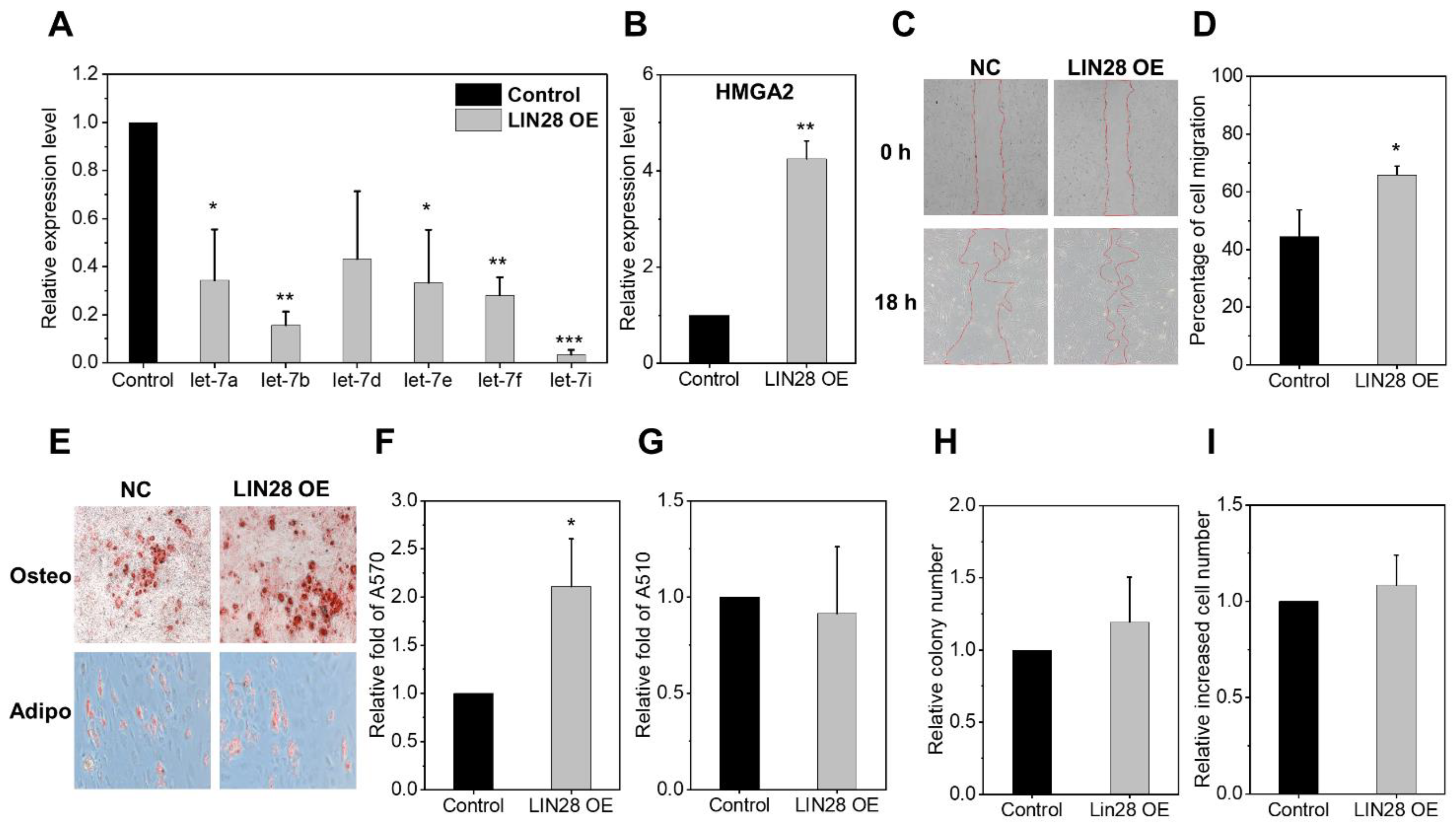 Ijms 24 08639 g005 Ijms 24 08639 g005