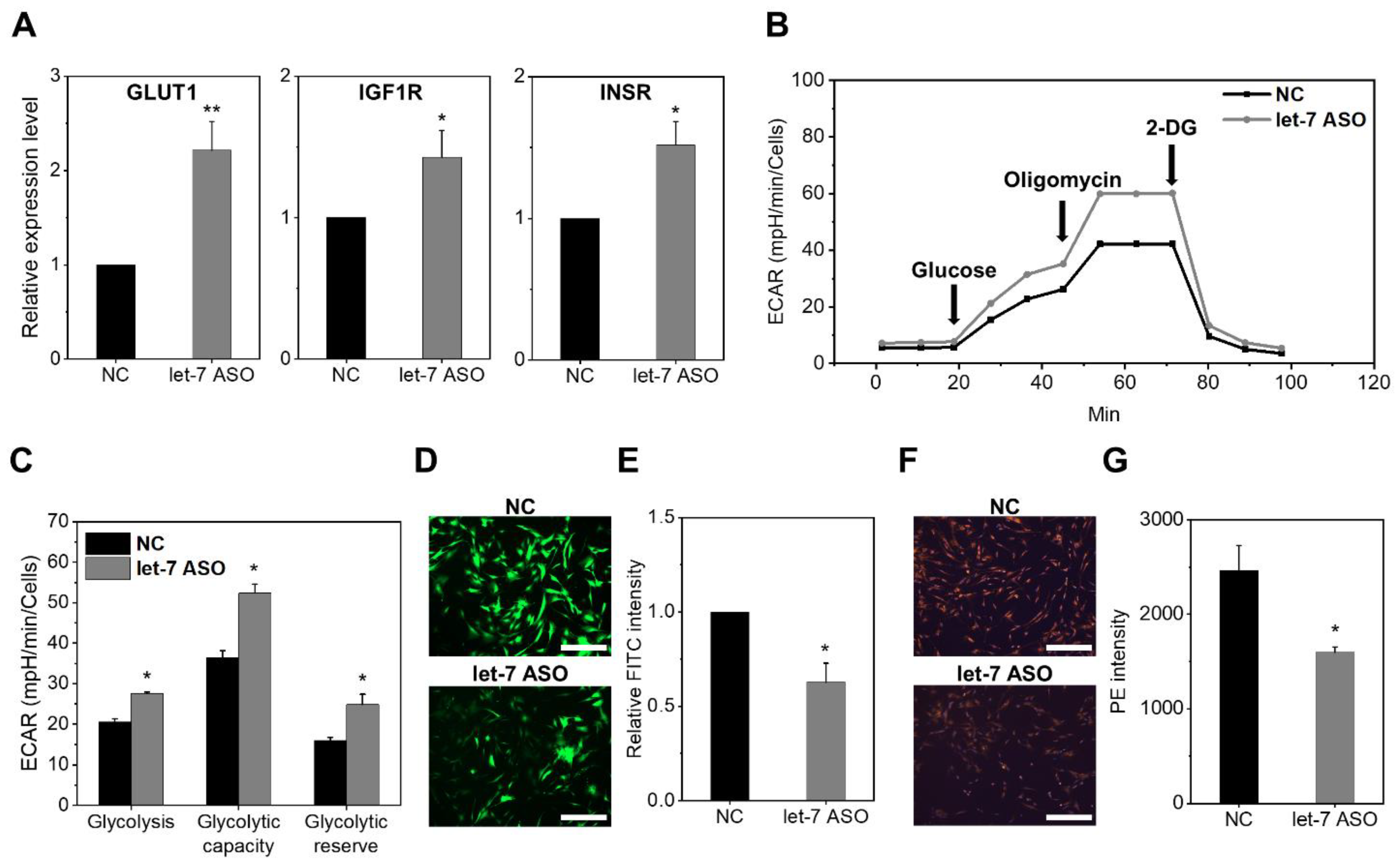 Ijms 24 08639 g006 Ijms 24 08639 g006