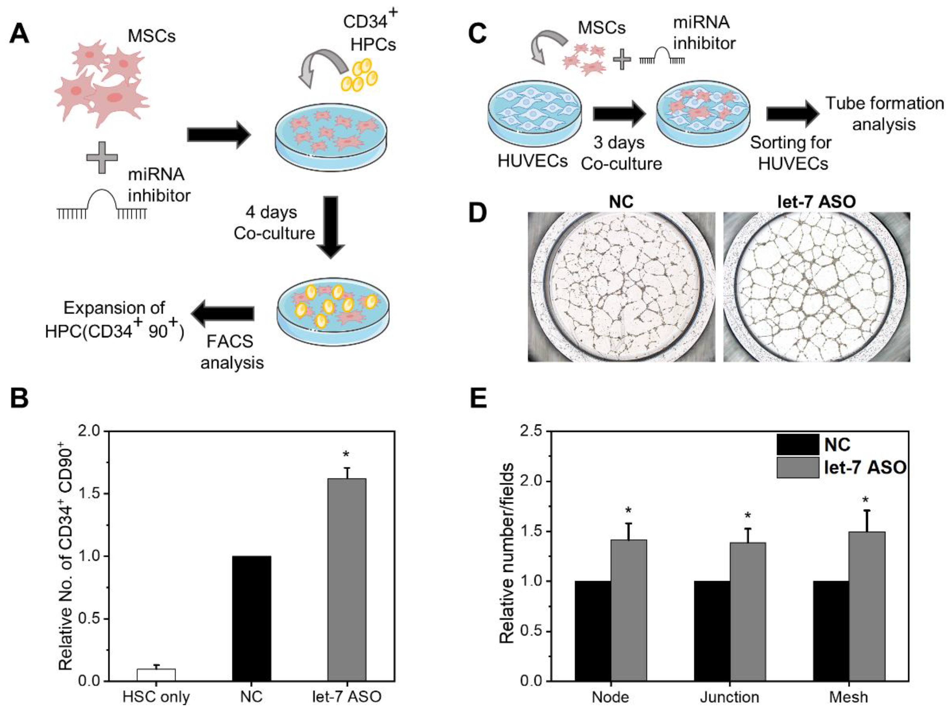 Ijms 24 08639 g008 Ijms 24 08639 g008