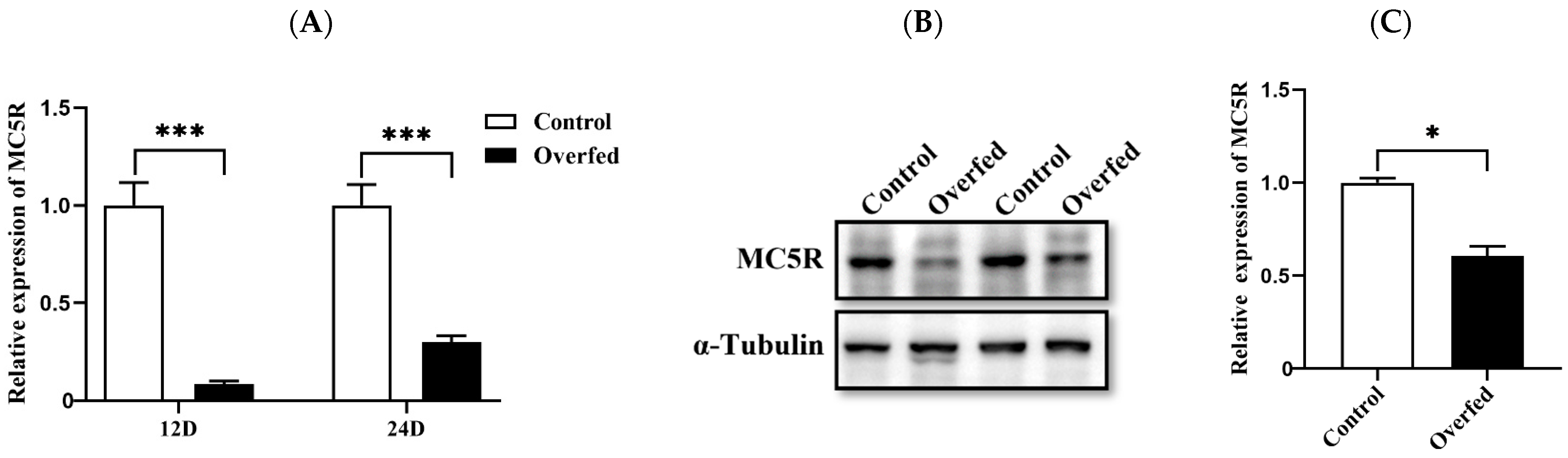 Ijms 24 08648 g002 Ijms 24 08648 g002