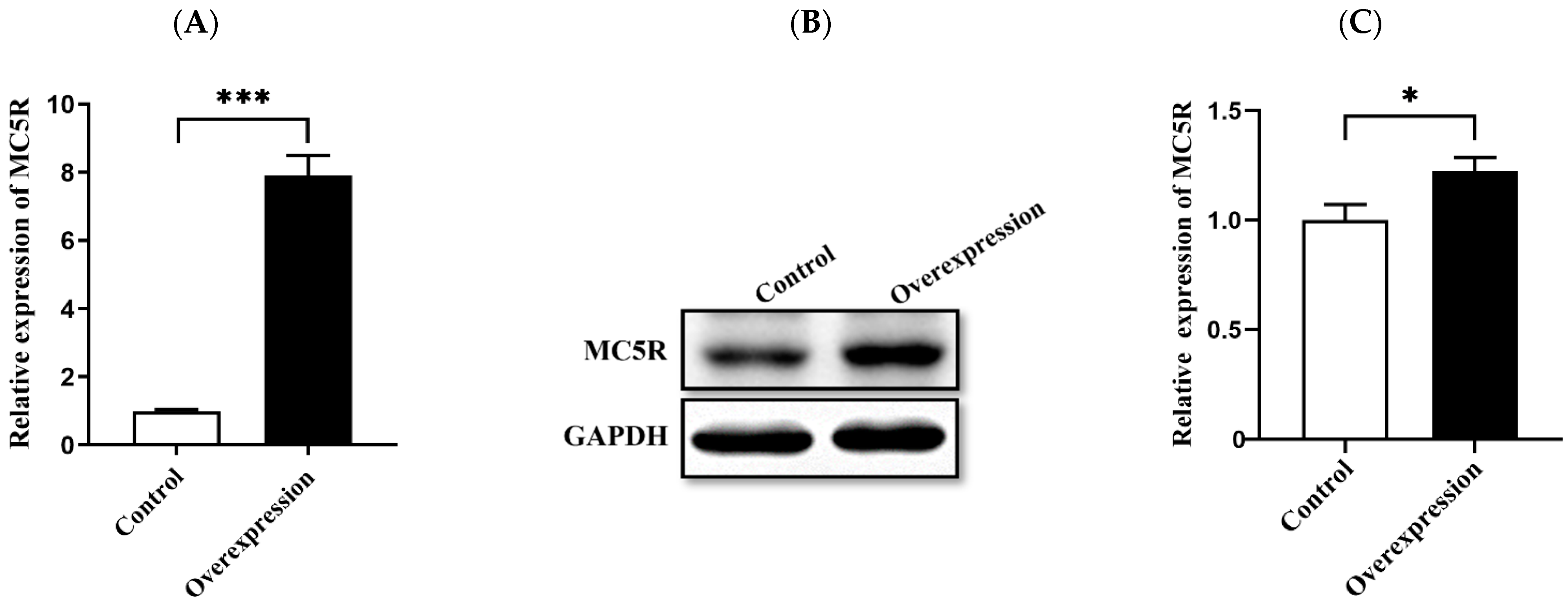 Ijms 24 08648 g005 Ijms 24 08648 g005