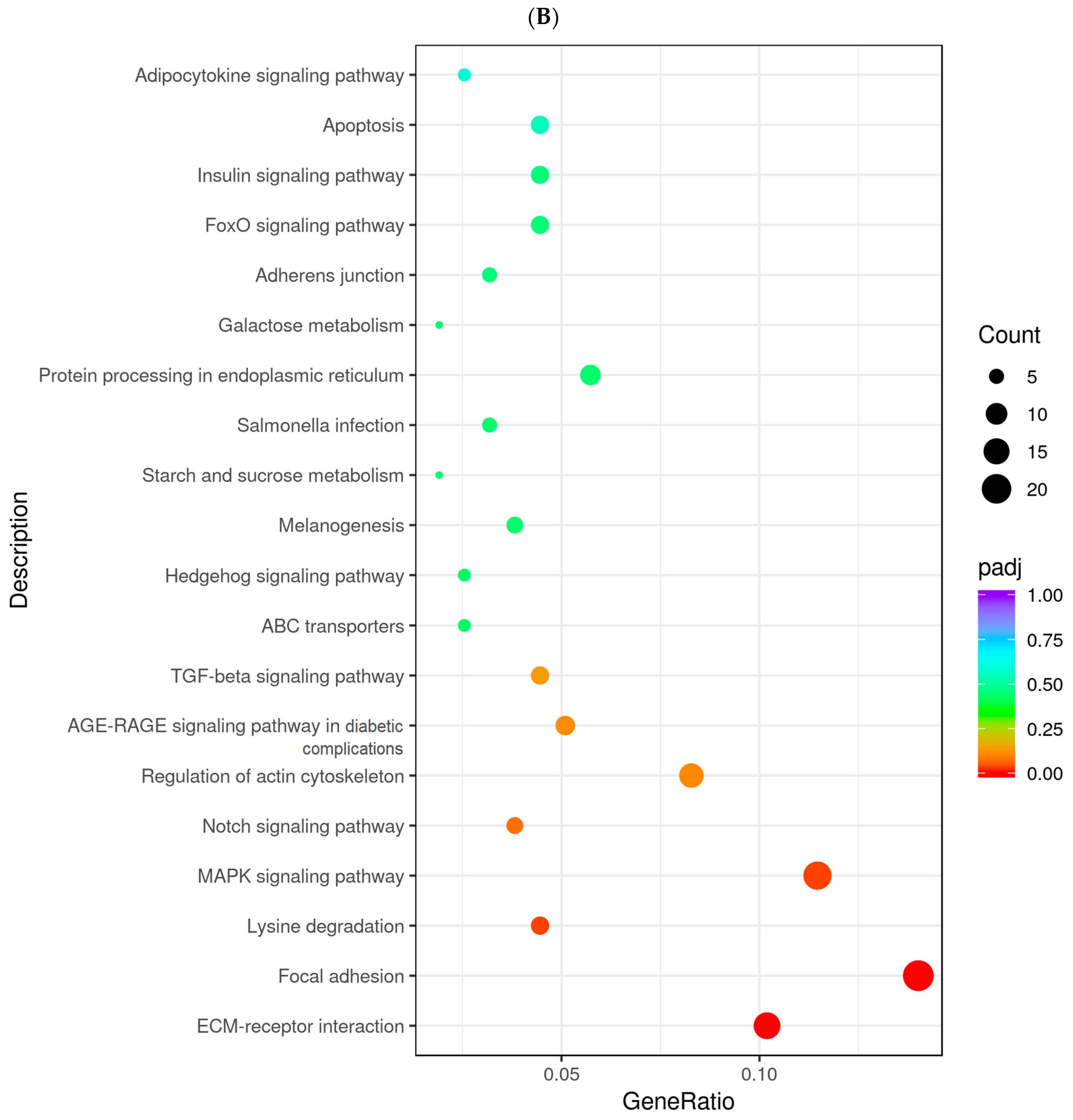 Ijms 24 08648 g006b Ijms 24 08648 g006b