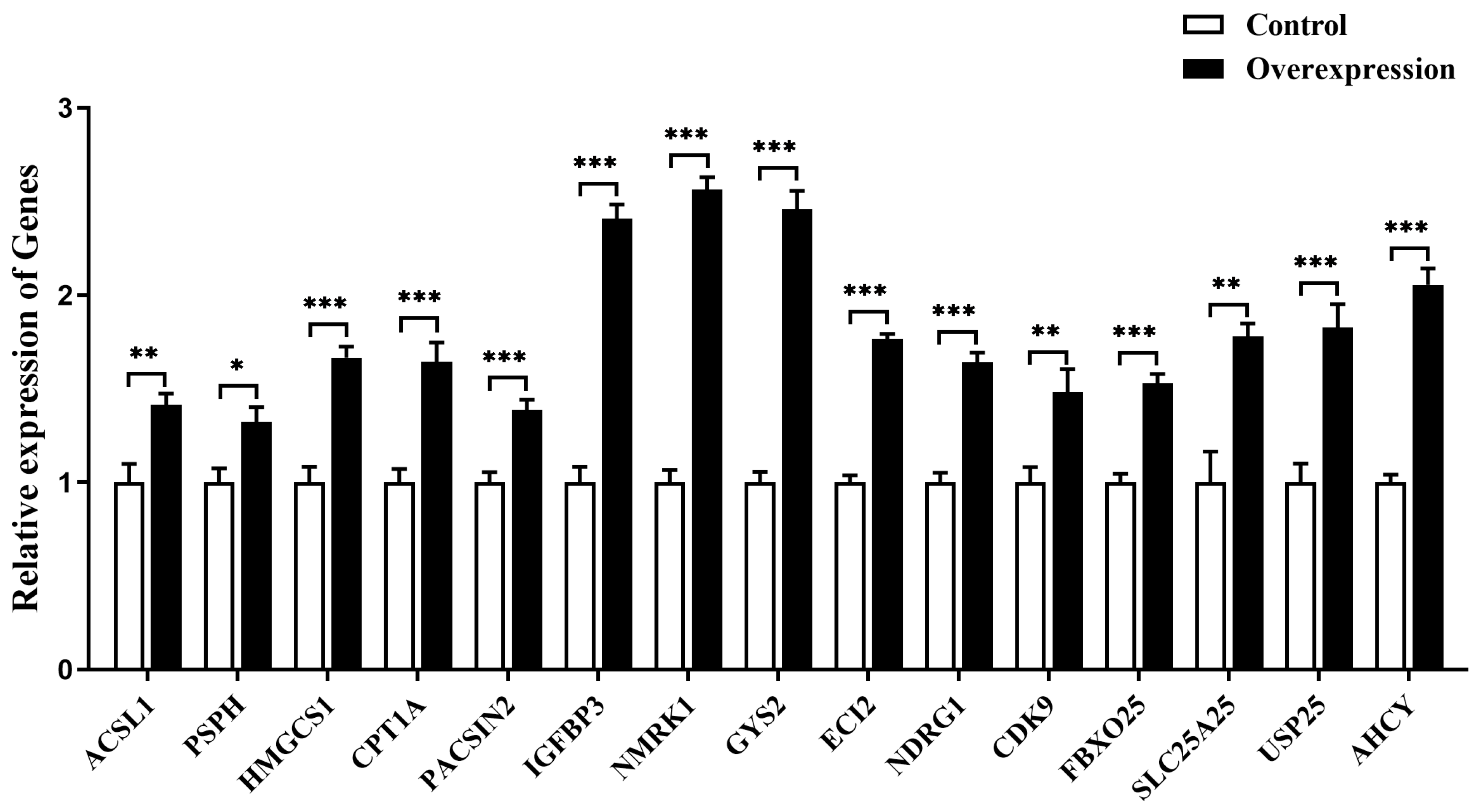 Ijms 24 08648 g007 Ijms 24 08648 g007