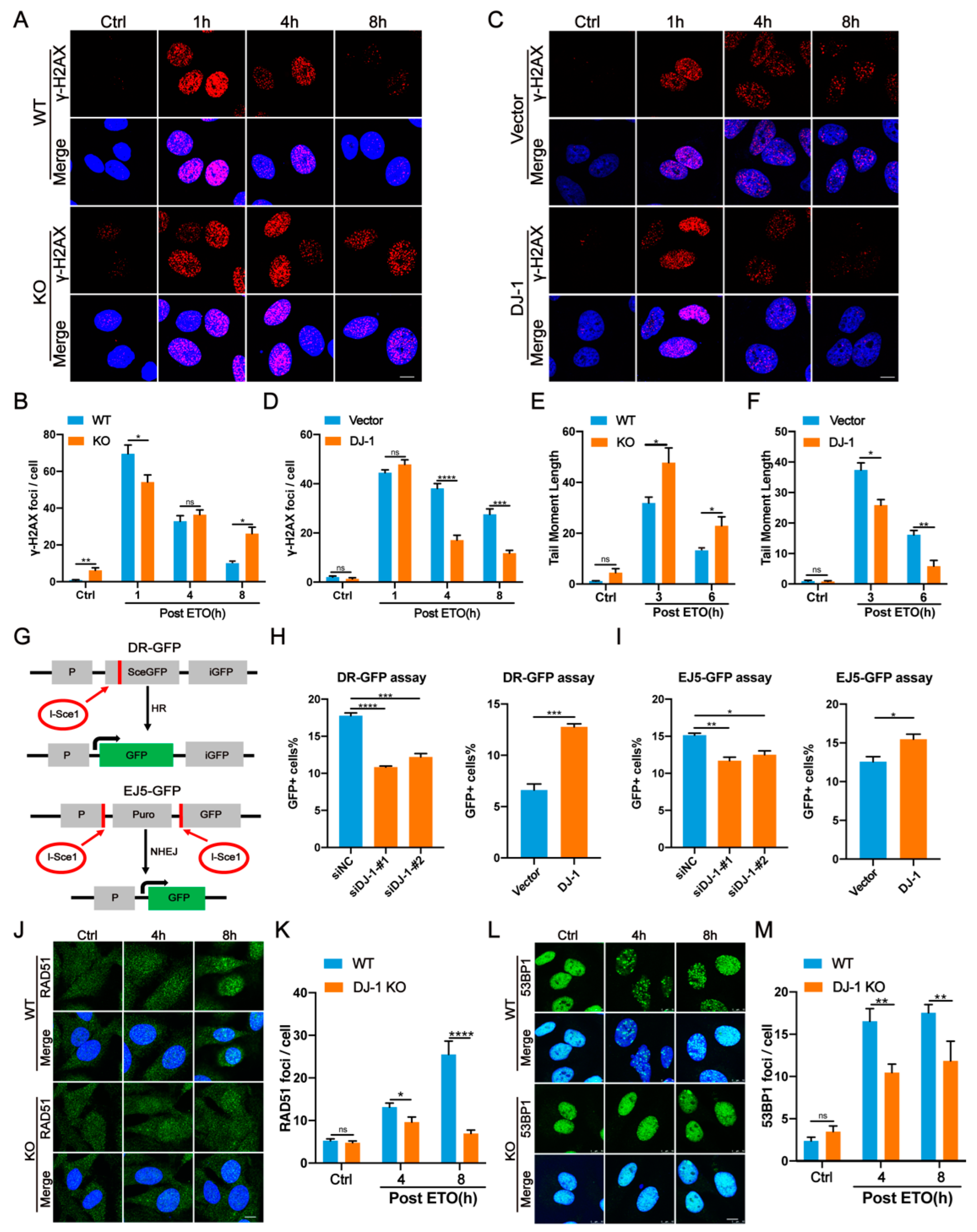 Ijms 24 08651 g002 Ijms 24 08651 g002