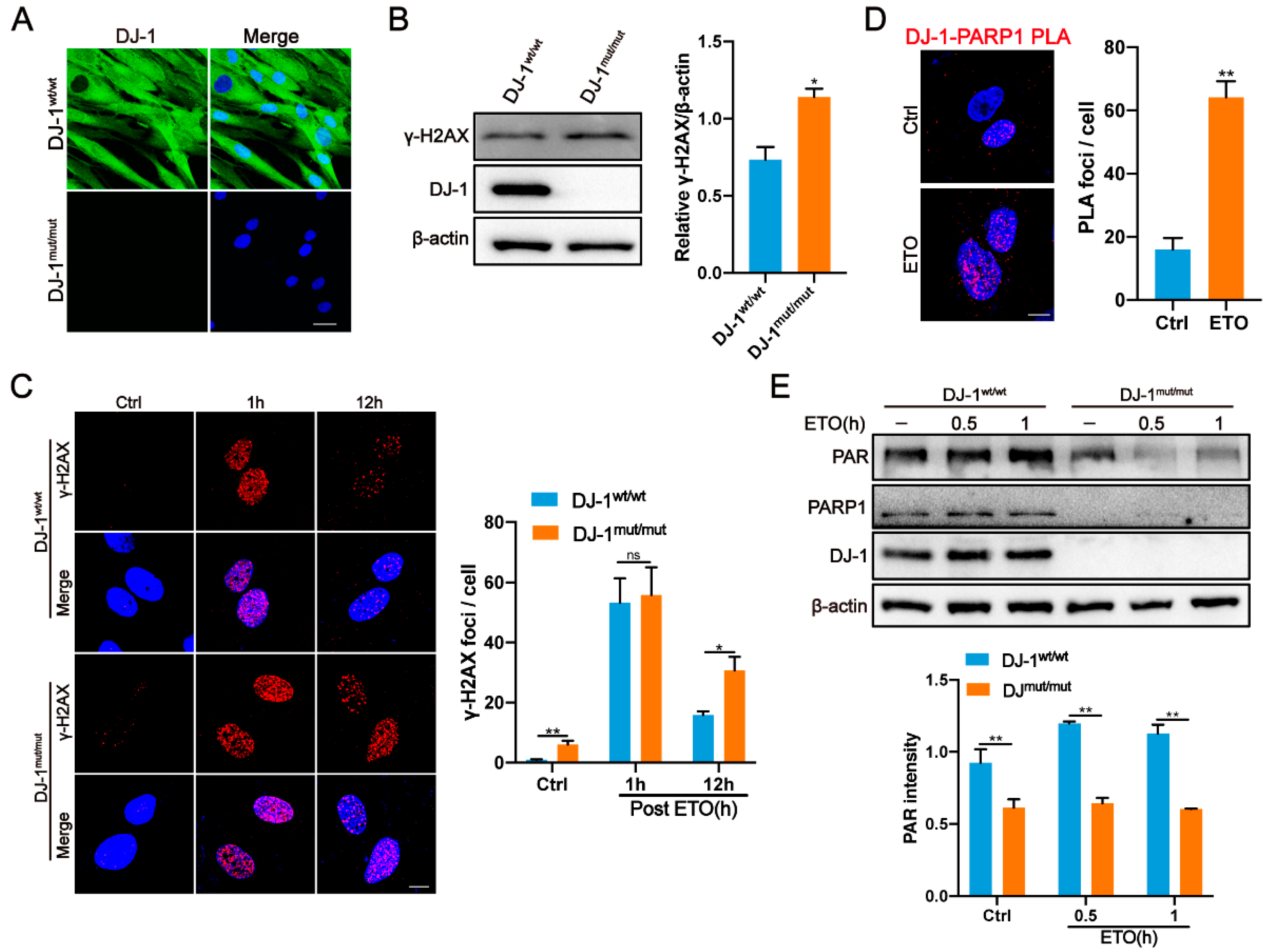 Ijms 24 08651 g005 Ijms 24 08651 g005