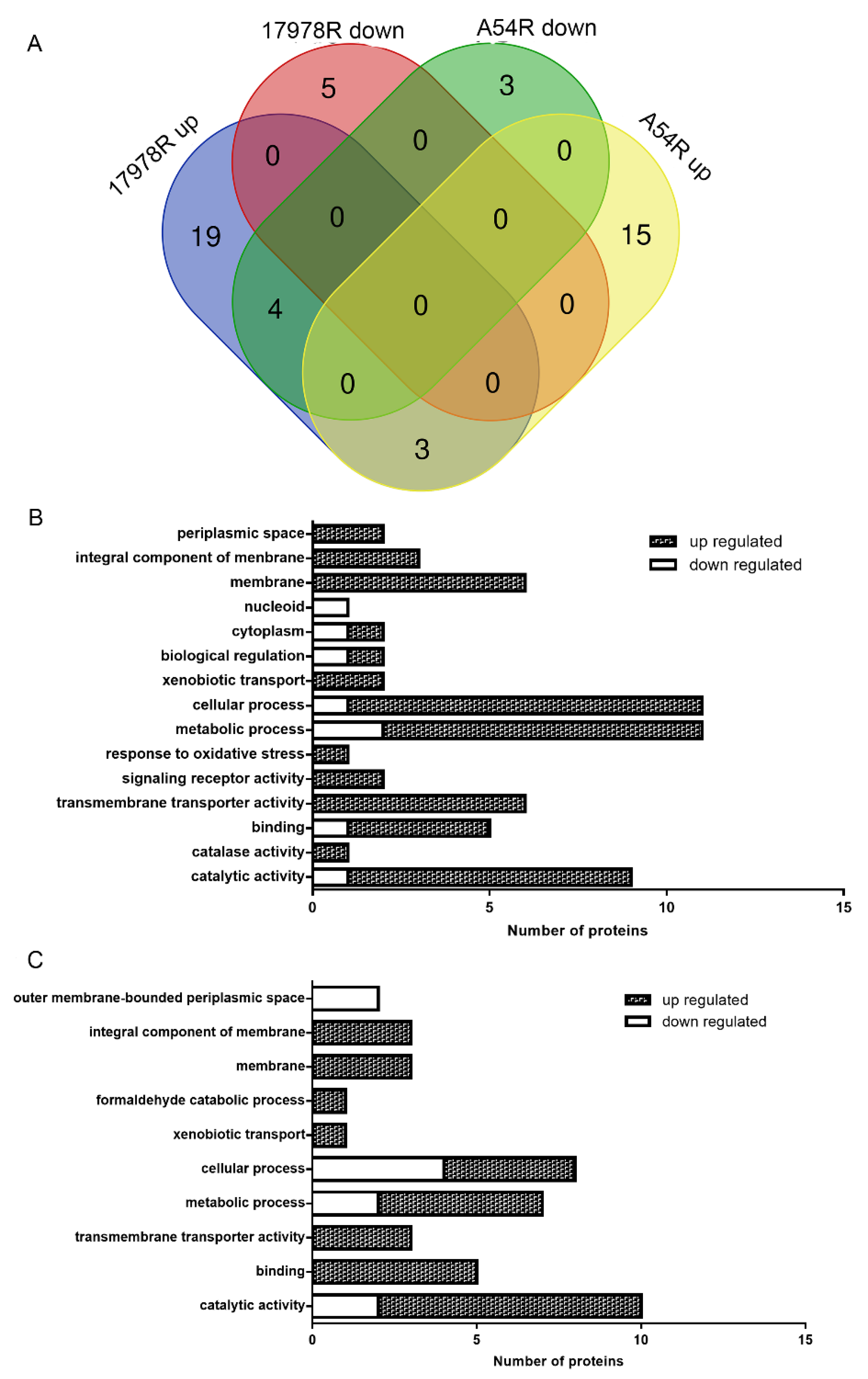 Ijms 24 08652 g001 Ijms 24 08652 g001