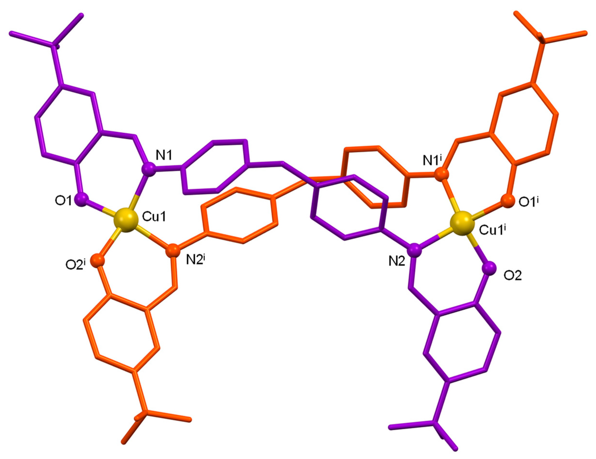 Ijms 24 08654 g001 Ijms 24 08654 g001