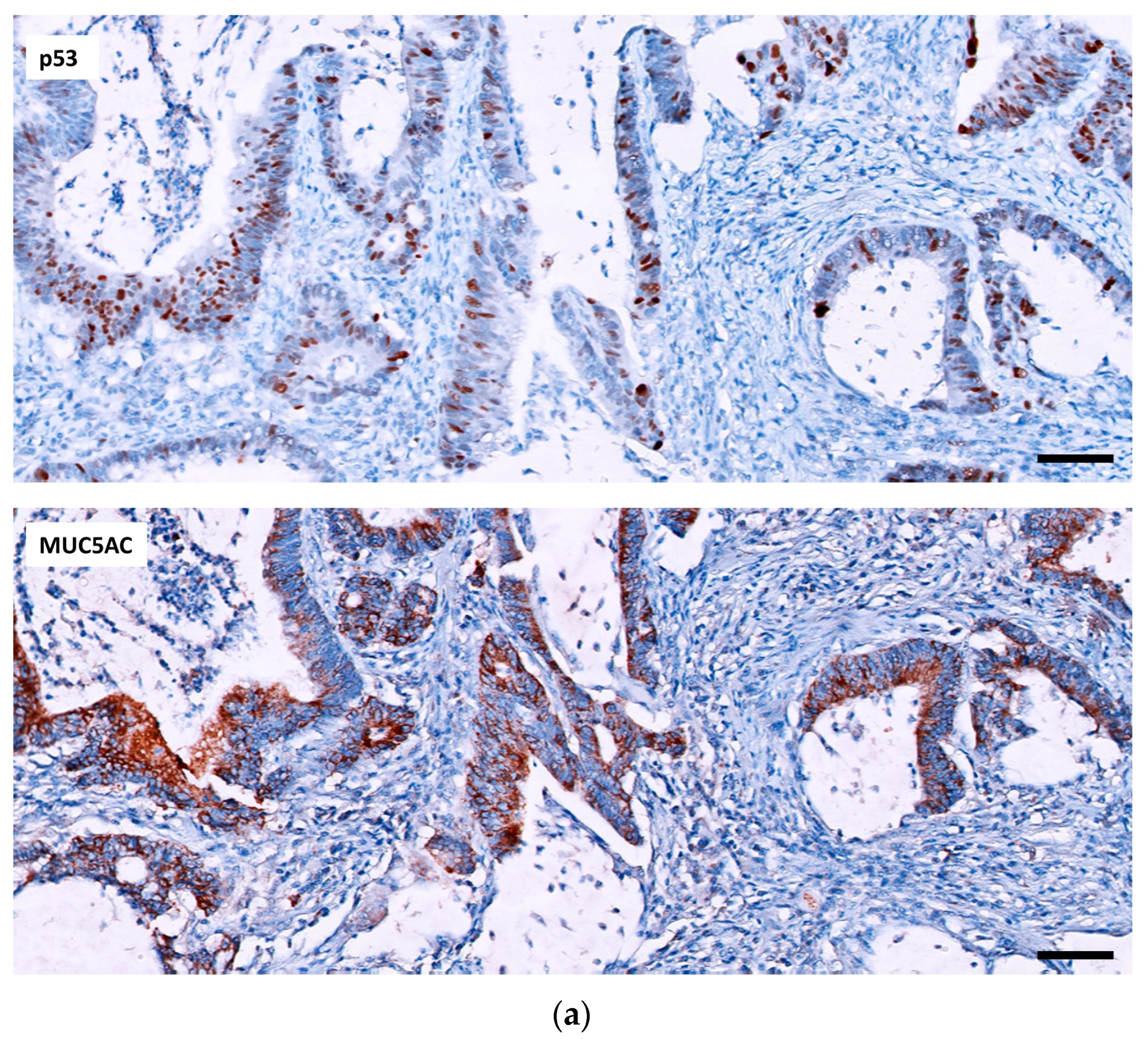 Ijms 24 08655 g001a Ijms 24 08655 g001a