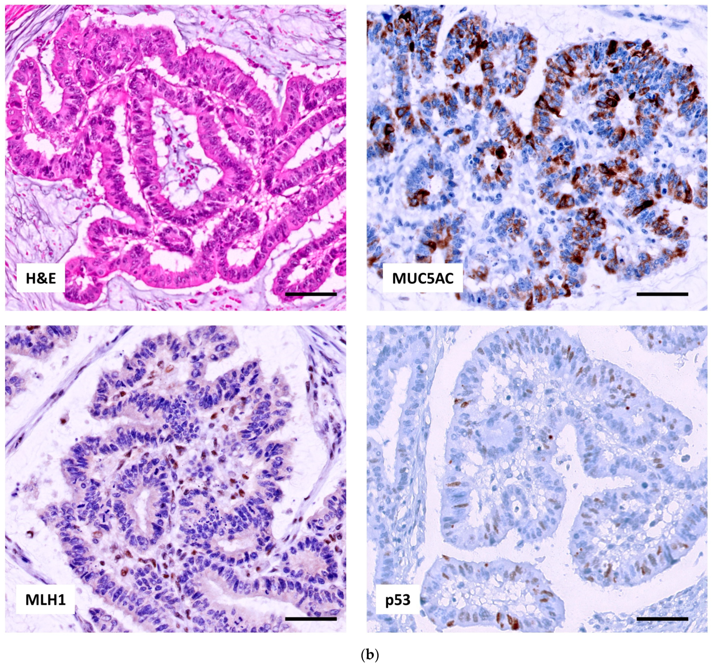 Ijms 24 08655 g002b Ijms 24 08655 g002b