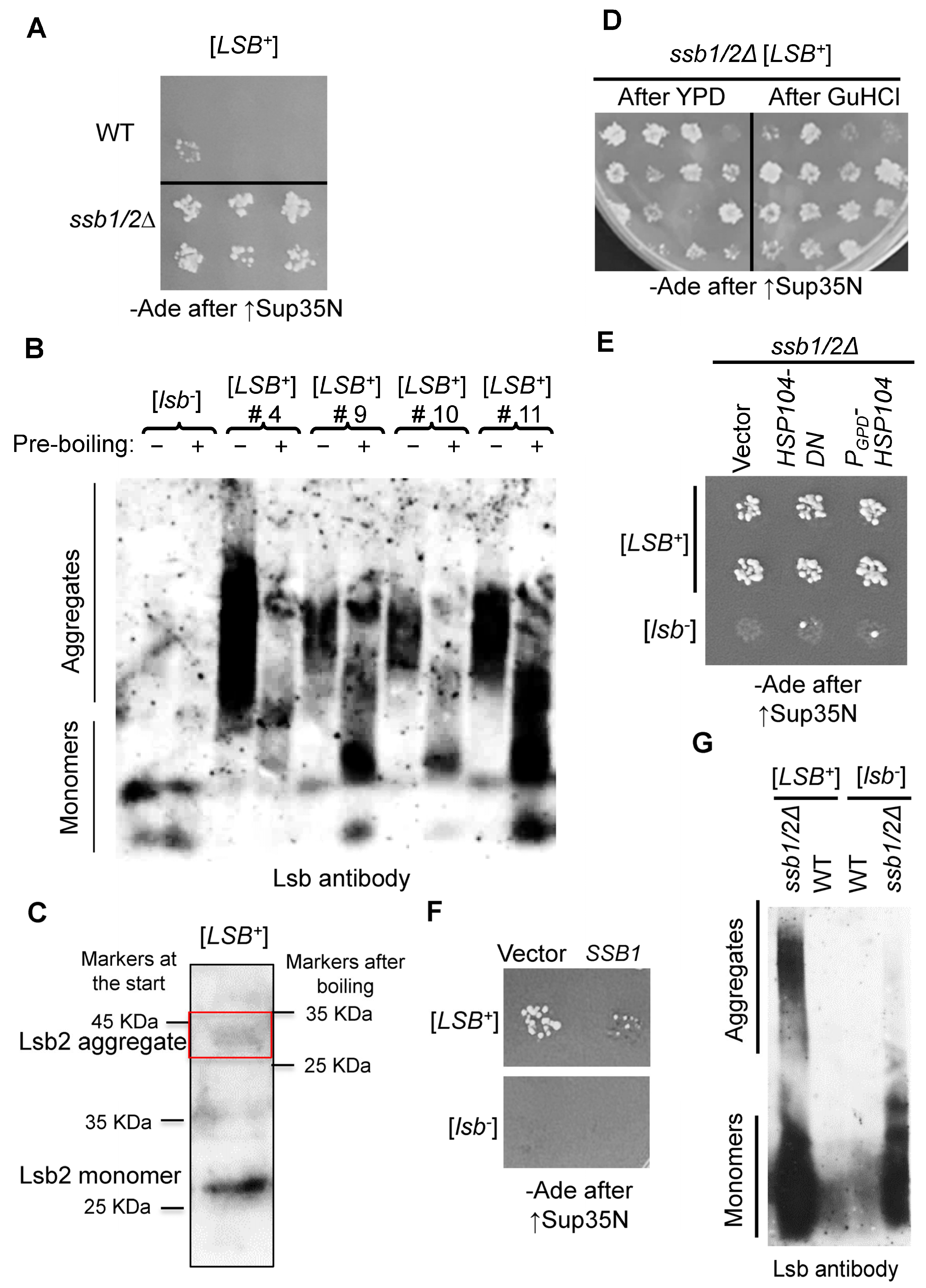 Ijms 24 08660 g002 Ijms 24 08660 g002