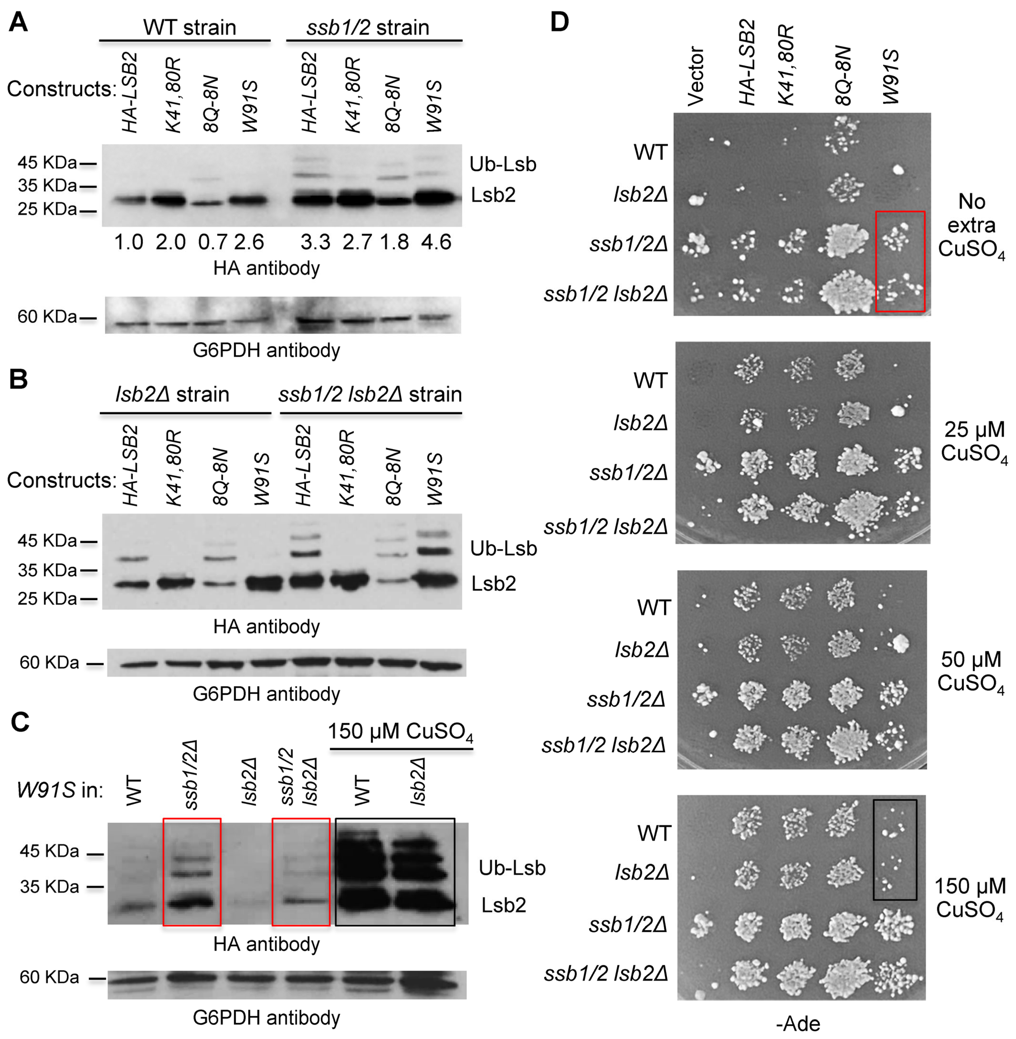 Ijms 24 08660 g003 Ijms 24 08660 g003