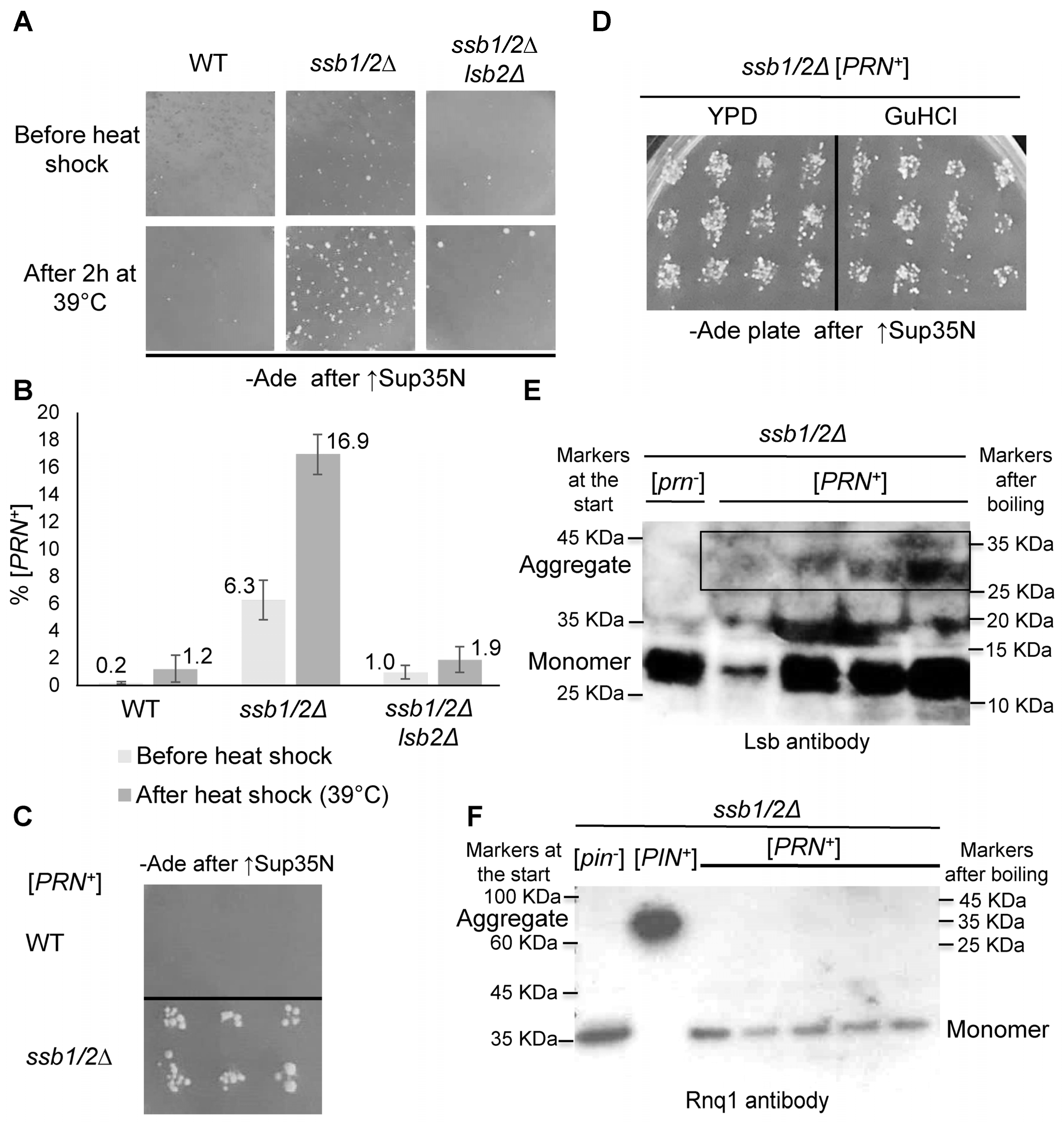Ijms 24 08660 g004 Ijms 24 08660 g004