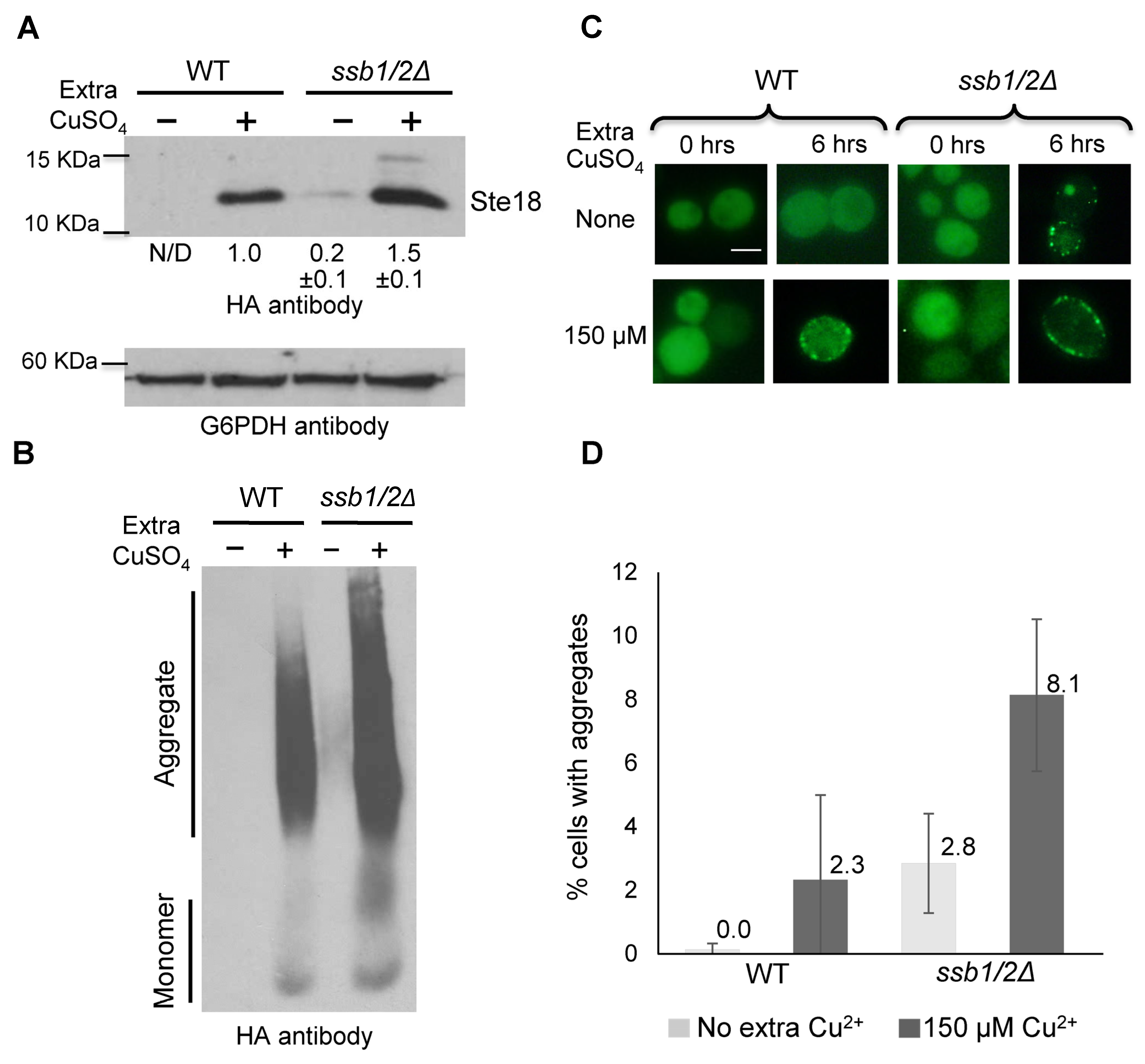 Ijms 24 08660 g005 Ijms 24 08660 g005