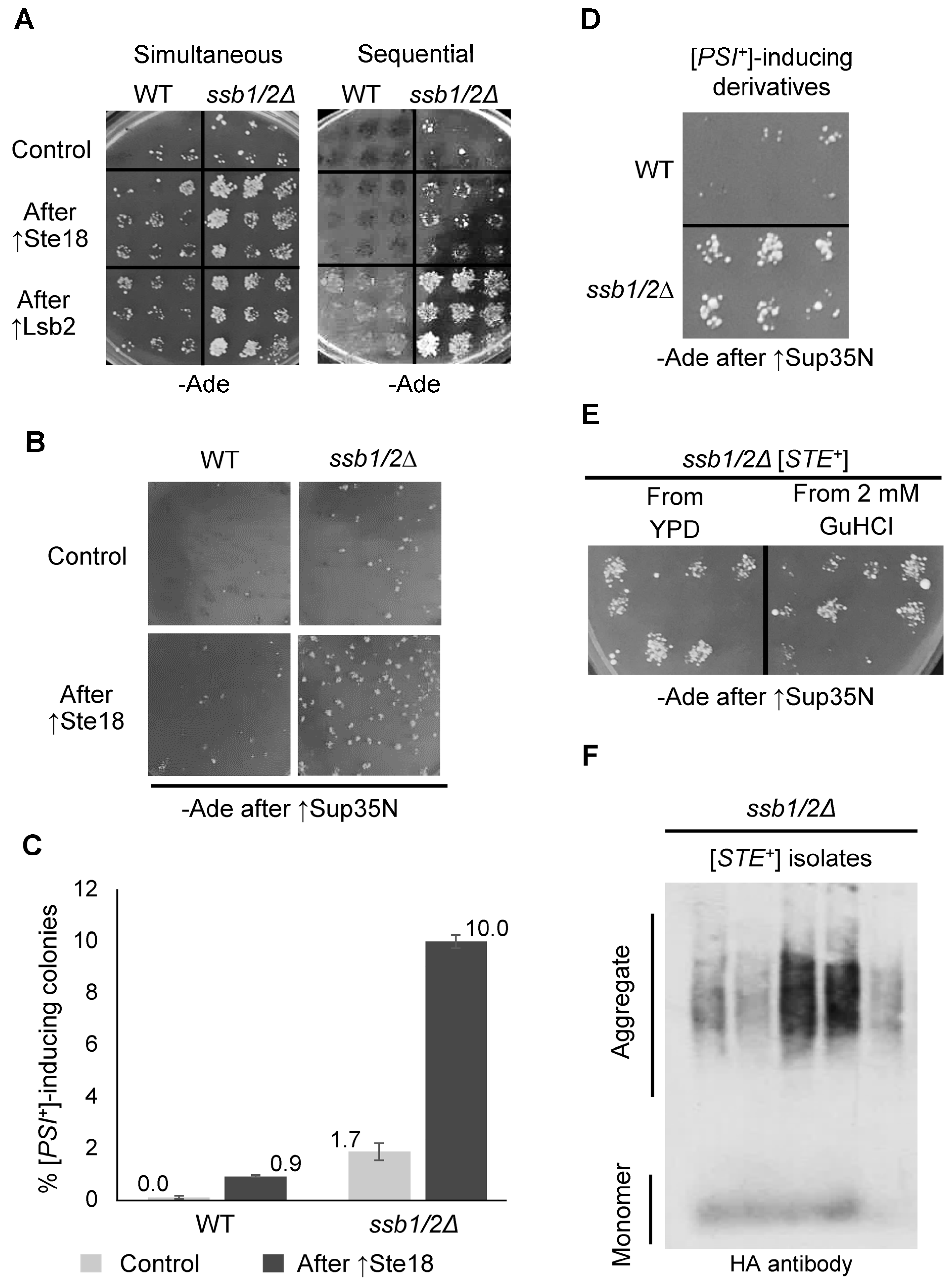 Ijms 24 08660 g006 Ijms 24 08660 g006