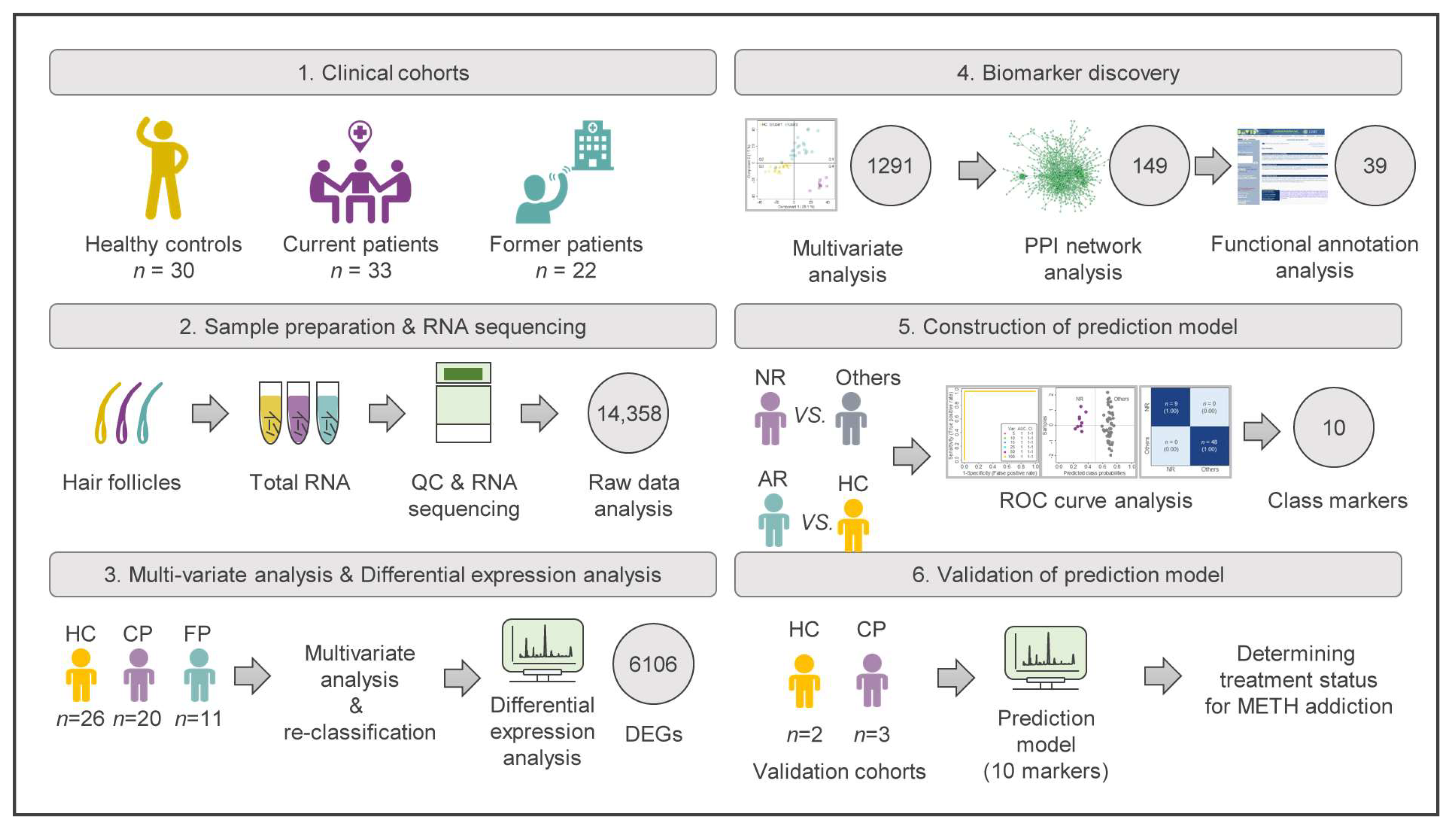 Ijms 24 08672 g001 Ijms 24 08672 g001