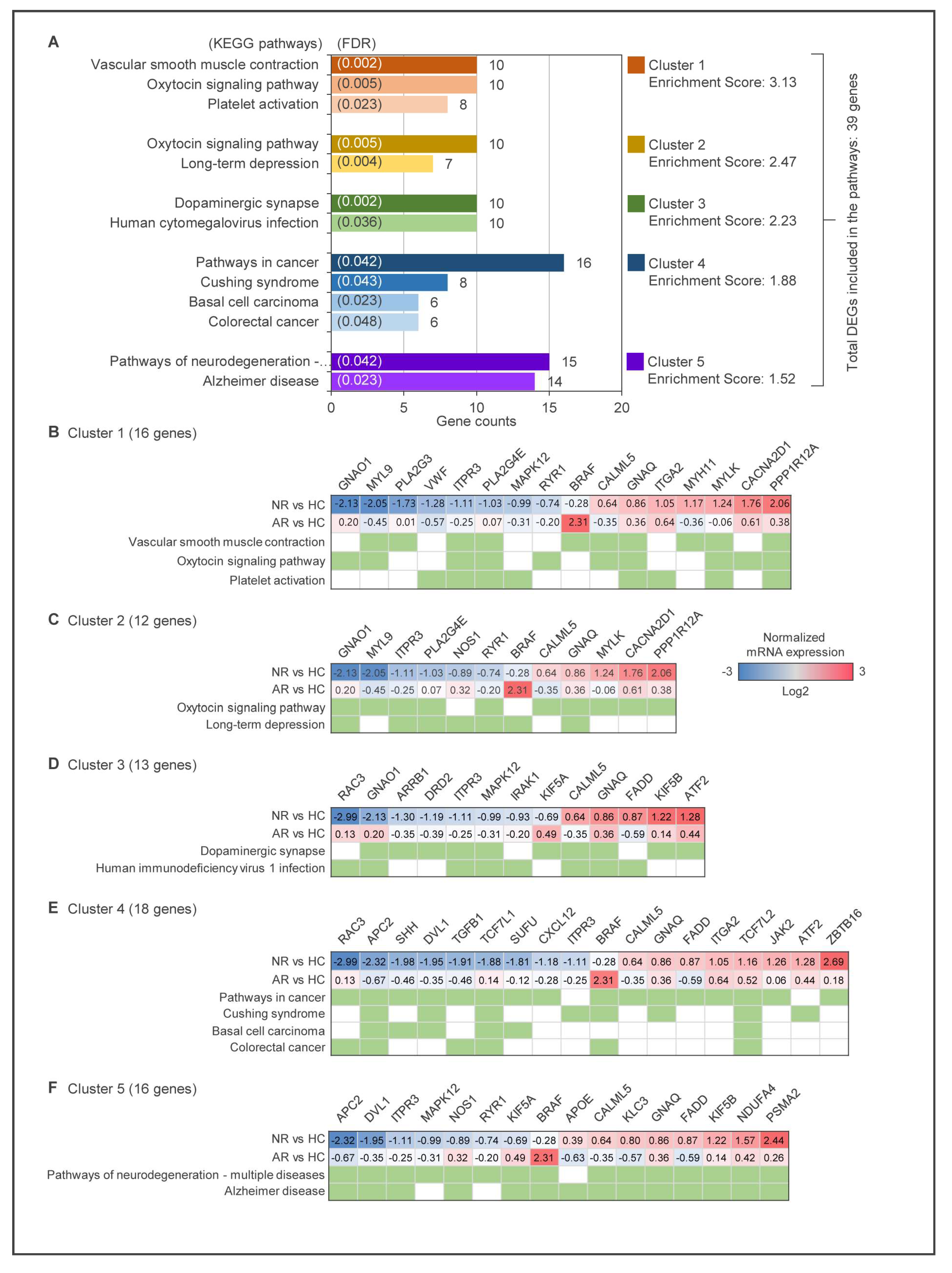 Ijms 24 08672 g004 Ijms 24 08672 g004