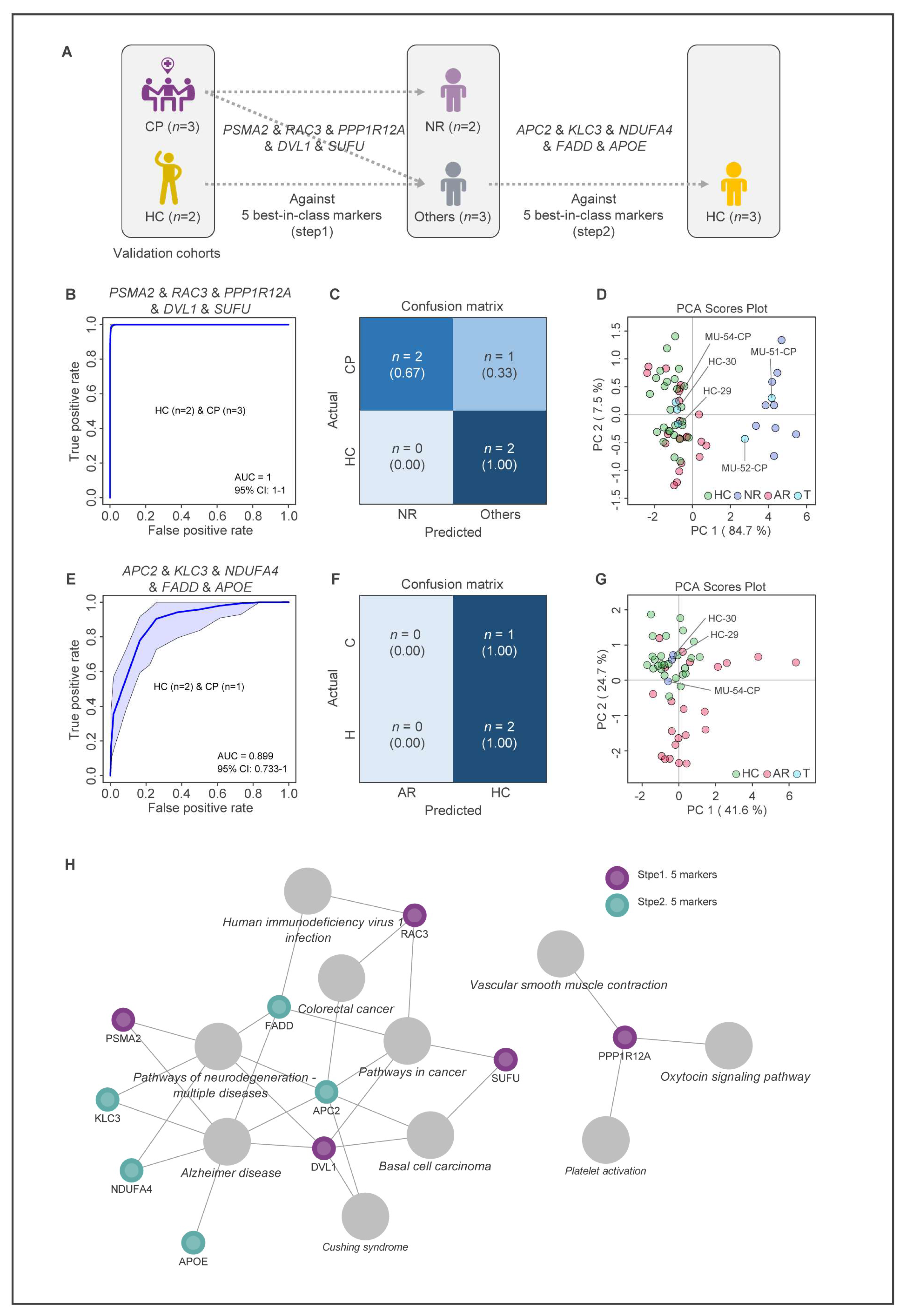 Ijms 24 08672 g006 Ijms 24 08672 g006
