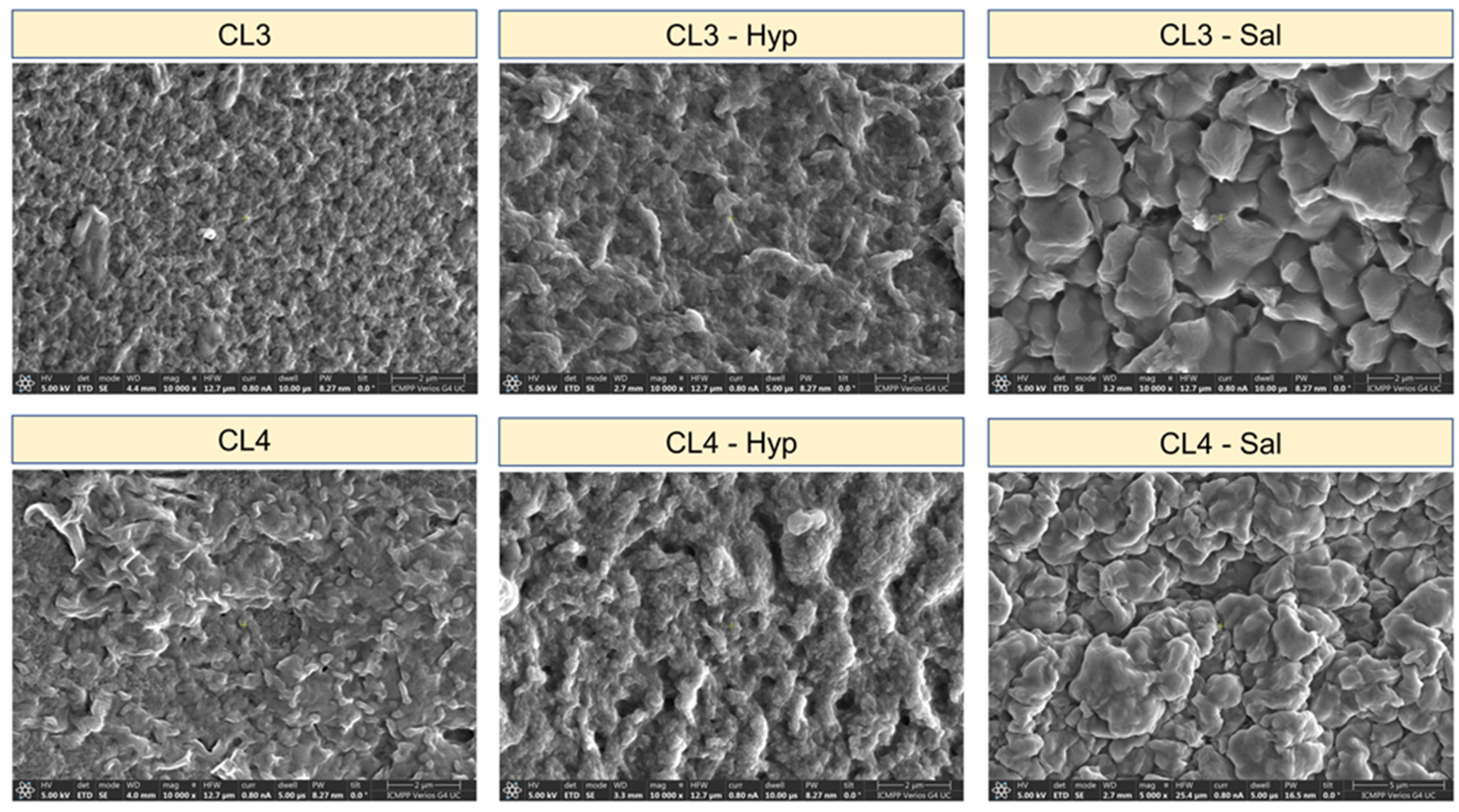 Ijms 24 08673 g002 Ijms 24 08673 g002