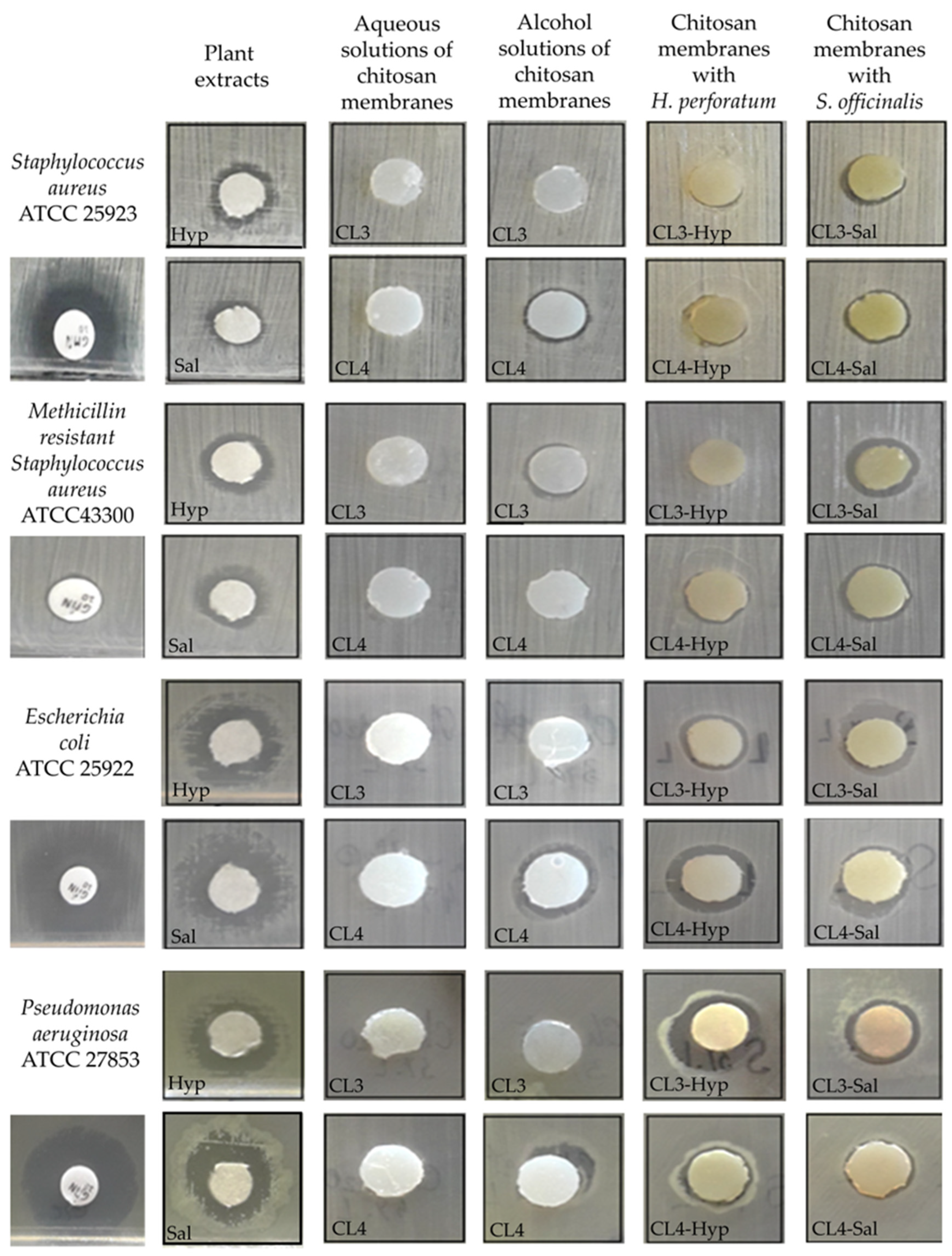 Ijms 24 08673 g006 Ijms 24 08673 g006